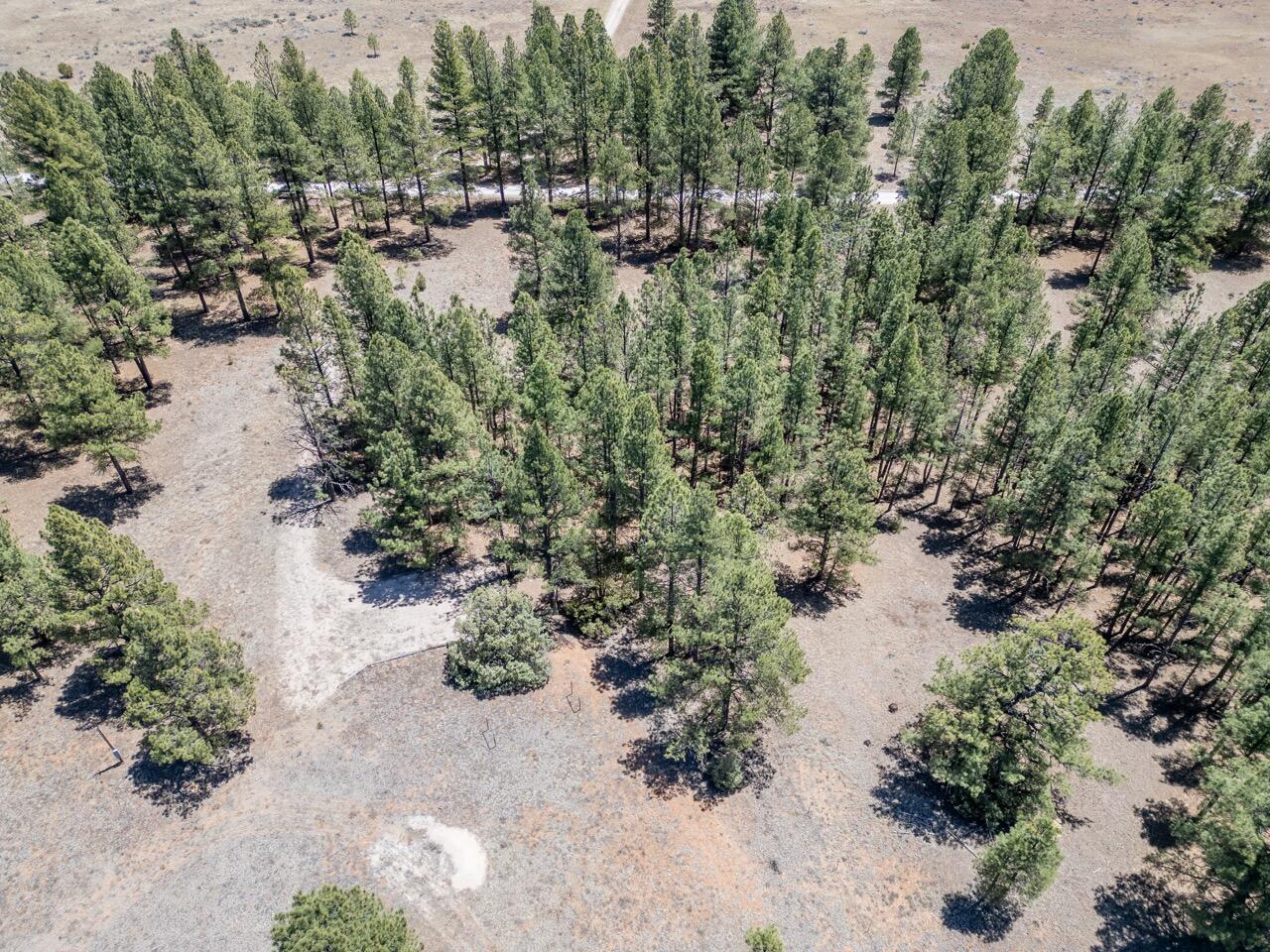 33 Sagebrush Road, Ramah, New Mexico image 24