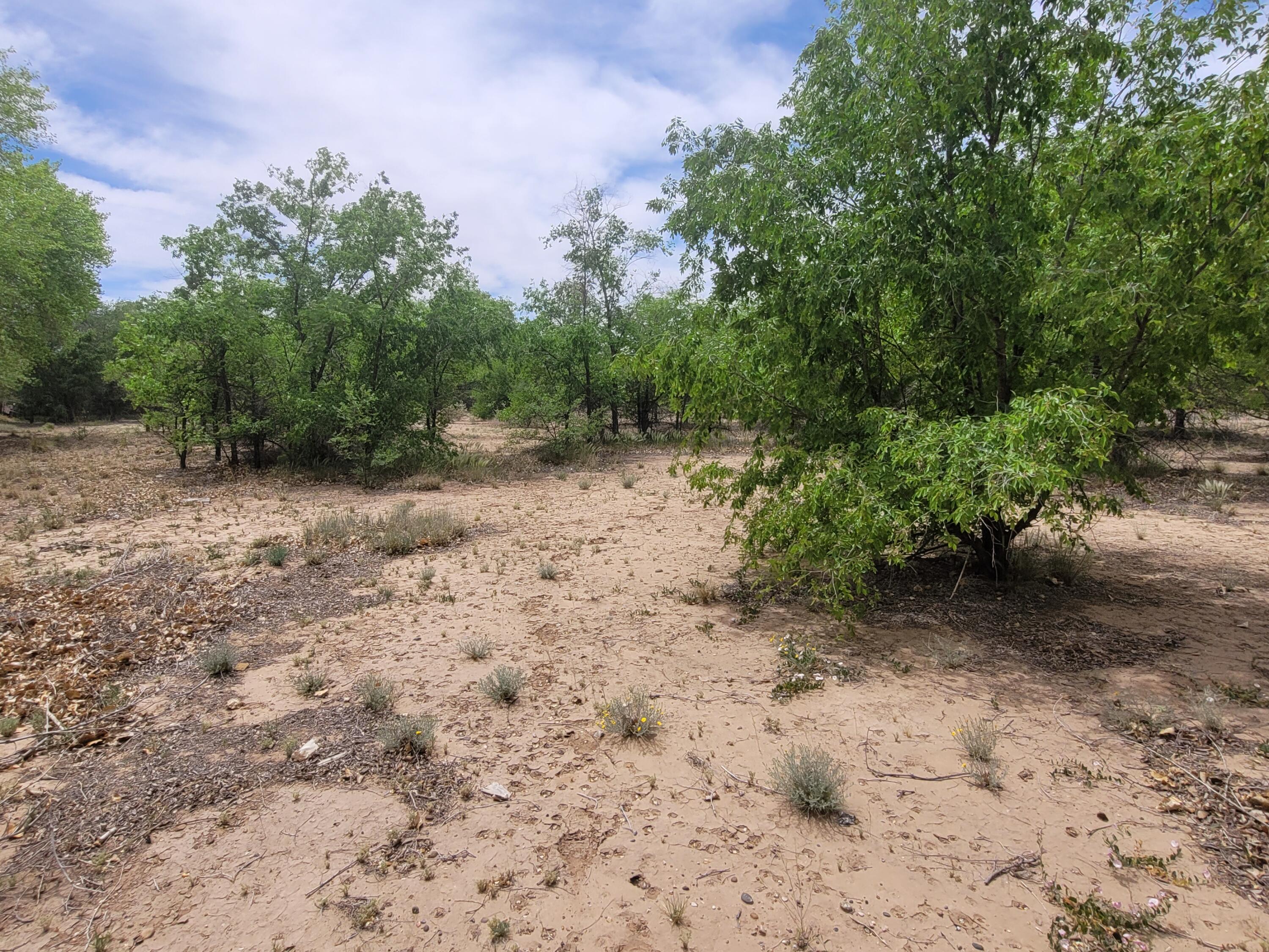 241 El Cerro Lp Loop, Los Lunas, New Mexico image 42