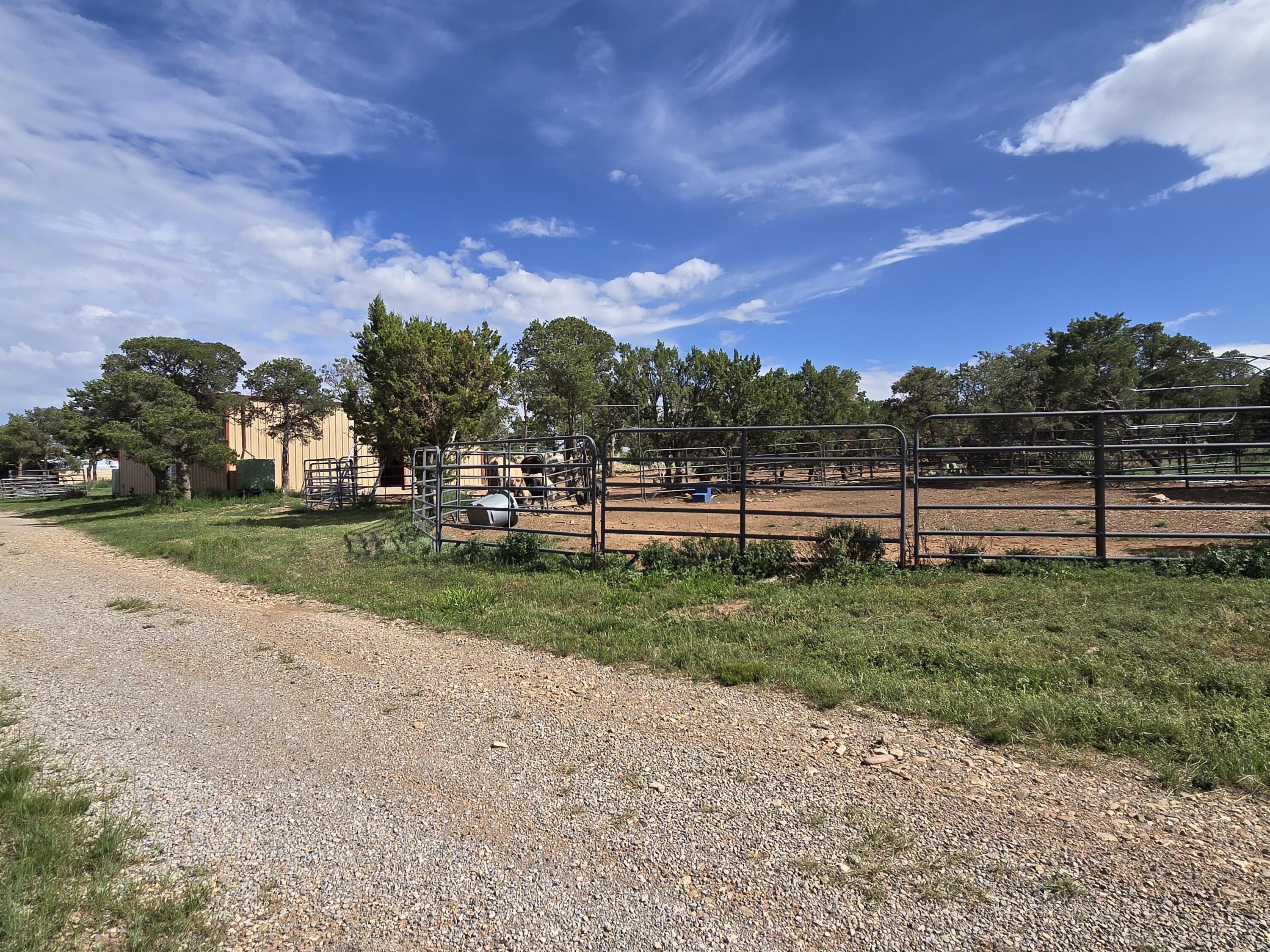 51 Crow Bait Trail, Corona, New Mexico image 50