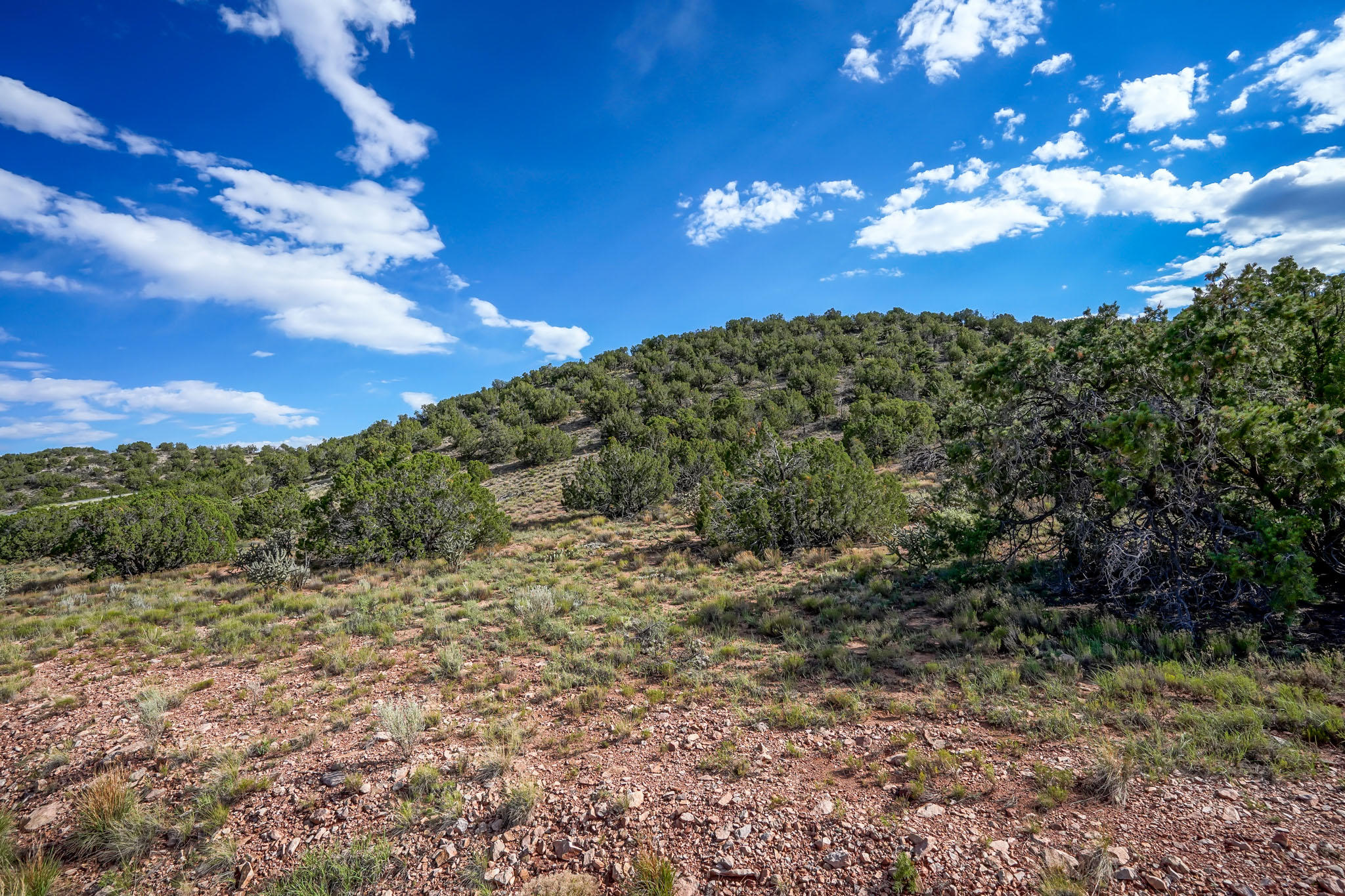 101 Crestview Court, Placitas, New Mexico image 13