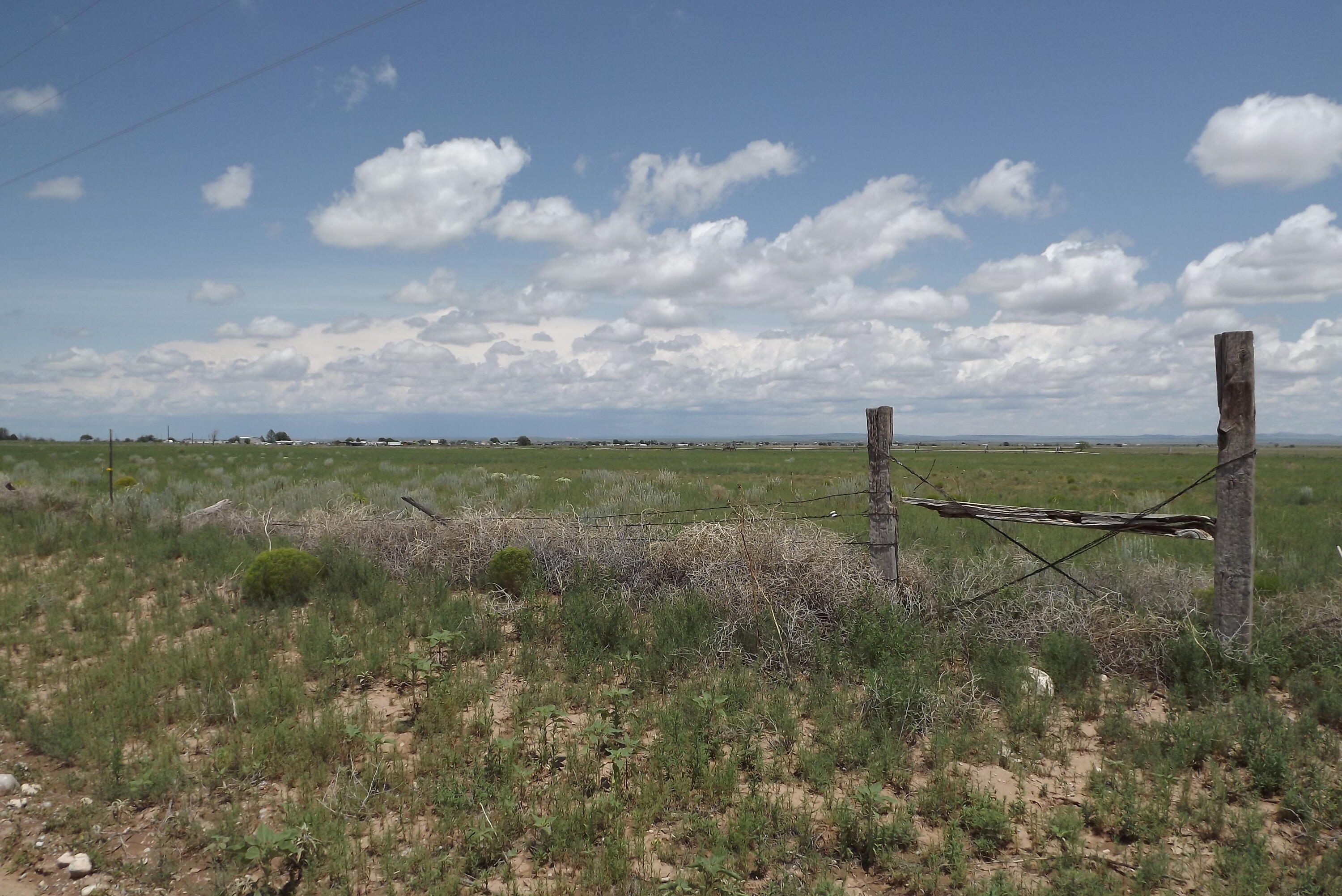 Howell West Road, McIntosh, New Mexico image 5