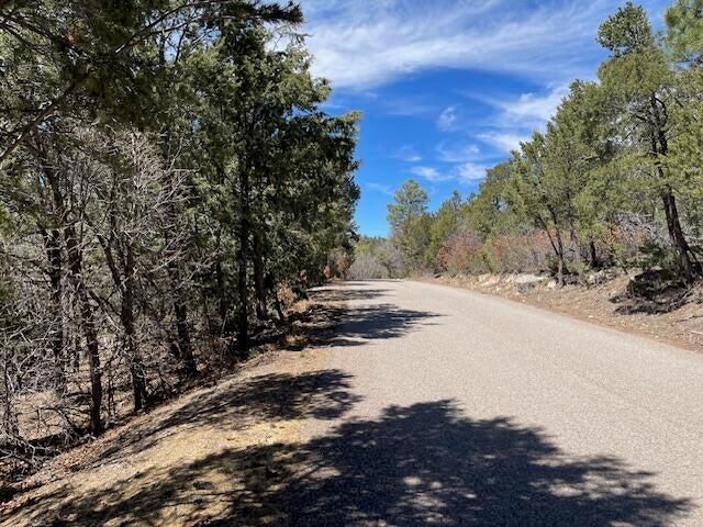 46 Big Dipper Road, Tijeras, New Mexico image 2