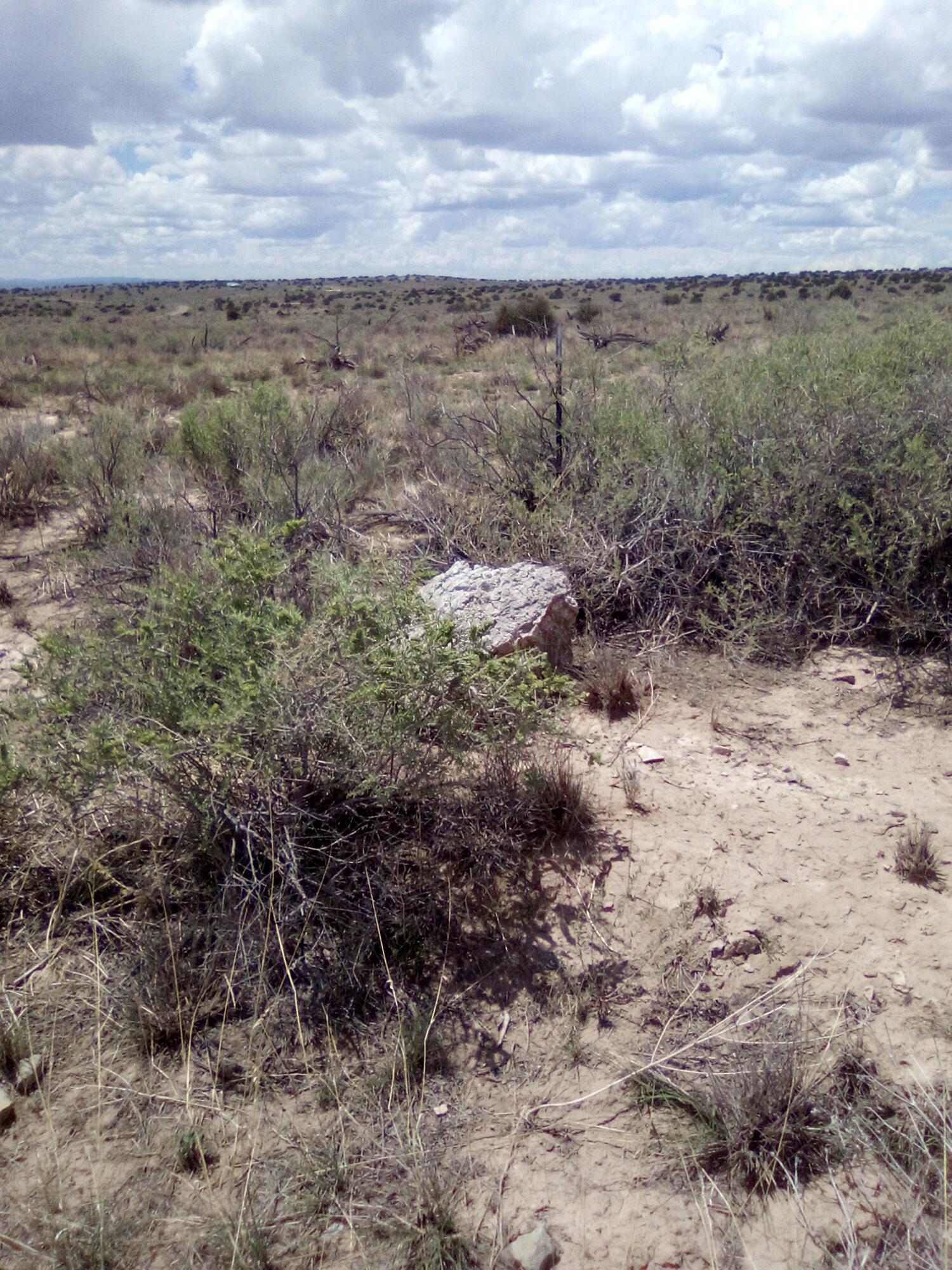 928 Windmill Ranch Road Road, Carrizozo, New Mexico image 1