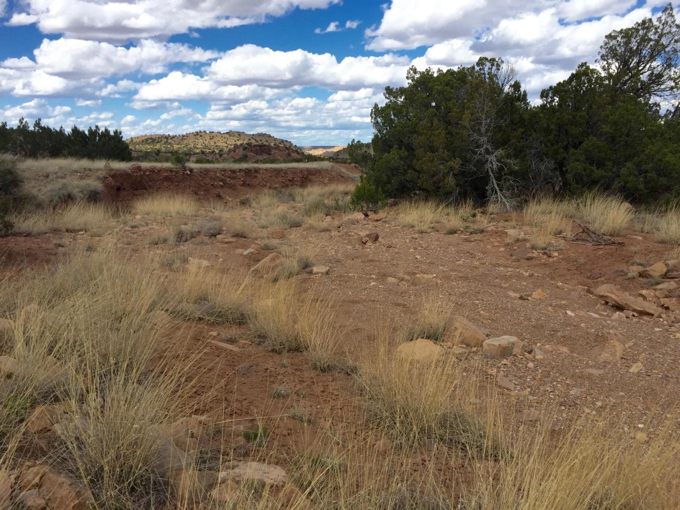 4819 Puertecito Road, Sandia Park, New Mexico image 33