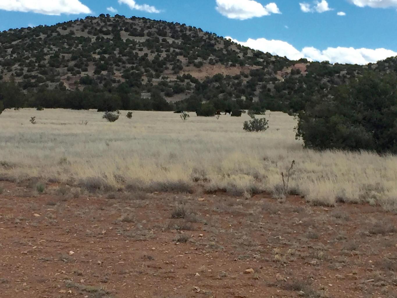 4819 Puertecito Road, Sandia Park, New Mexico image 3