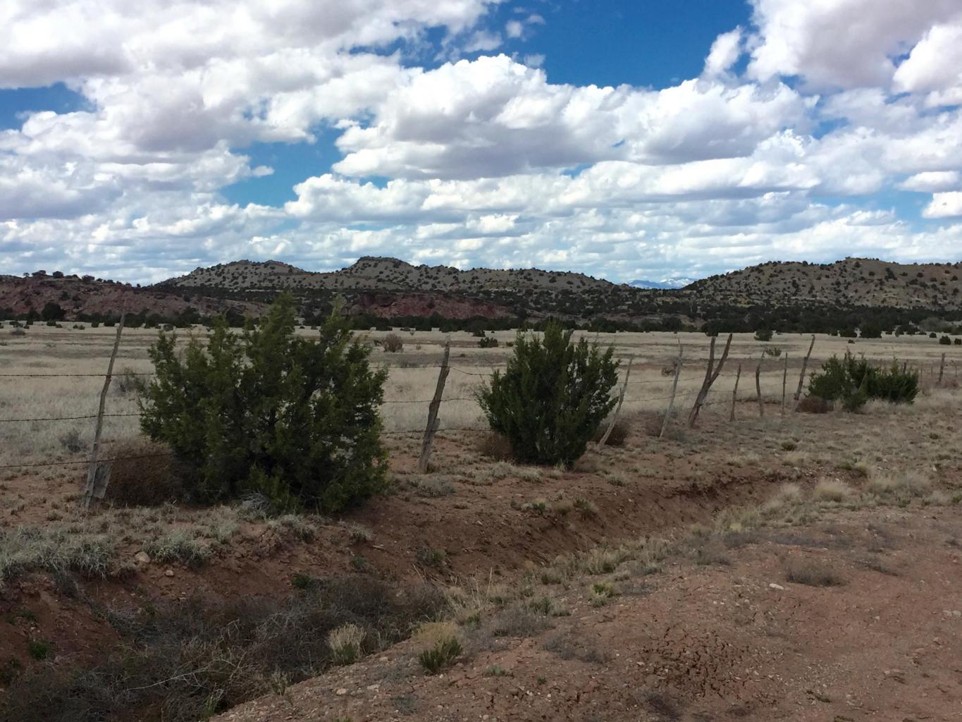 4819 Puertecito Road, Sandia Park, New Mexico image 10