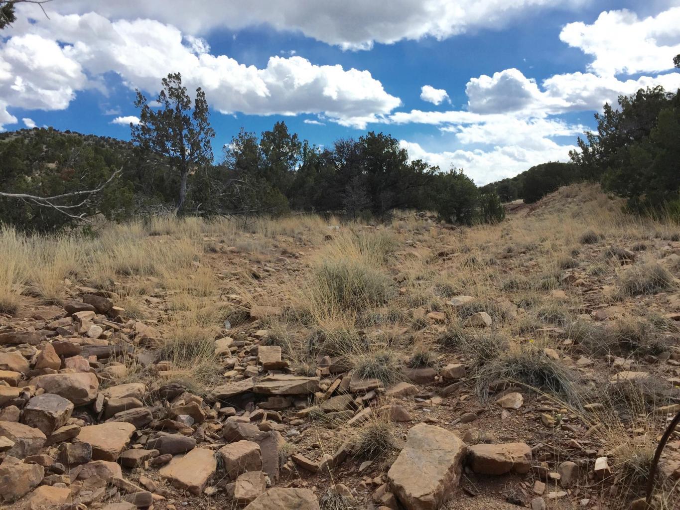 4819 Puertecito Road, Sandia Park, New Mexico image 35