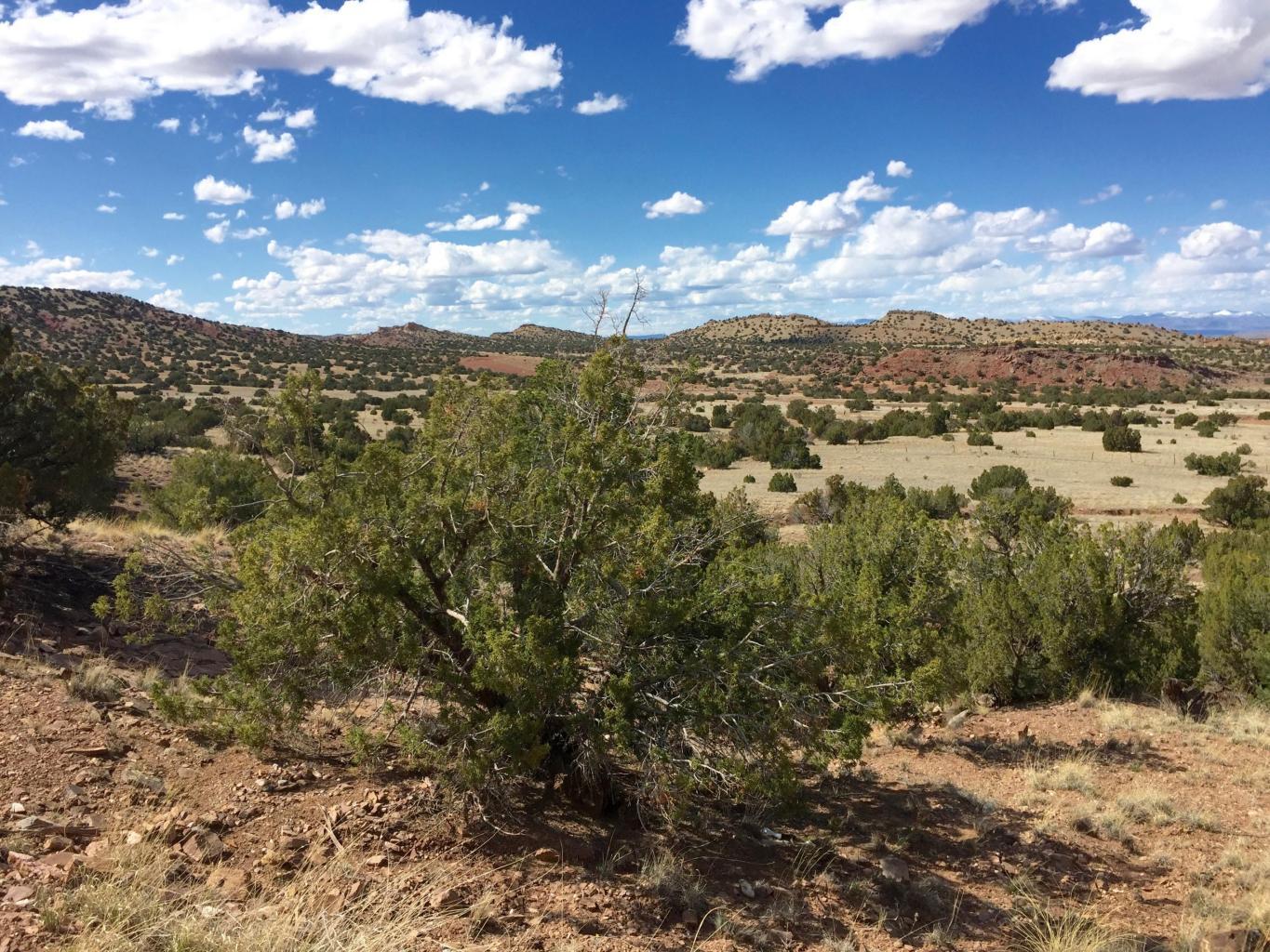 4819 Puertecito Road, Sandia Park, New Mexico image 6