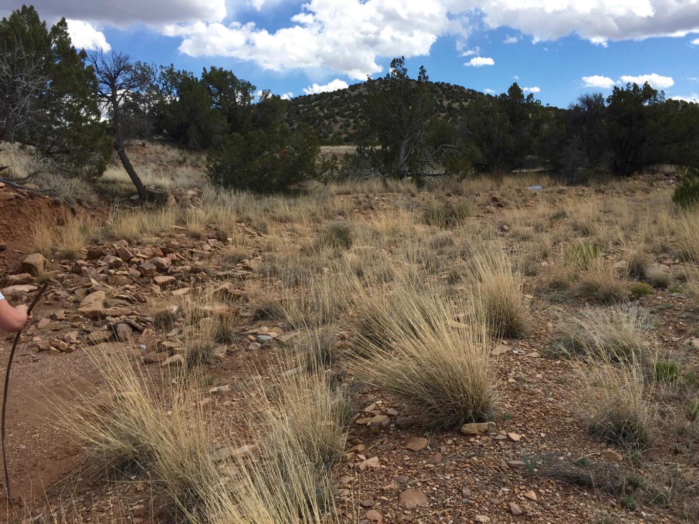 4819 Puertecito Road, Sandia Park, New Mexico image 34