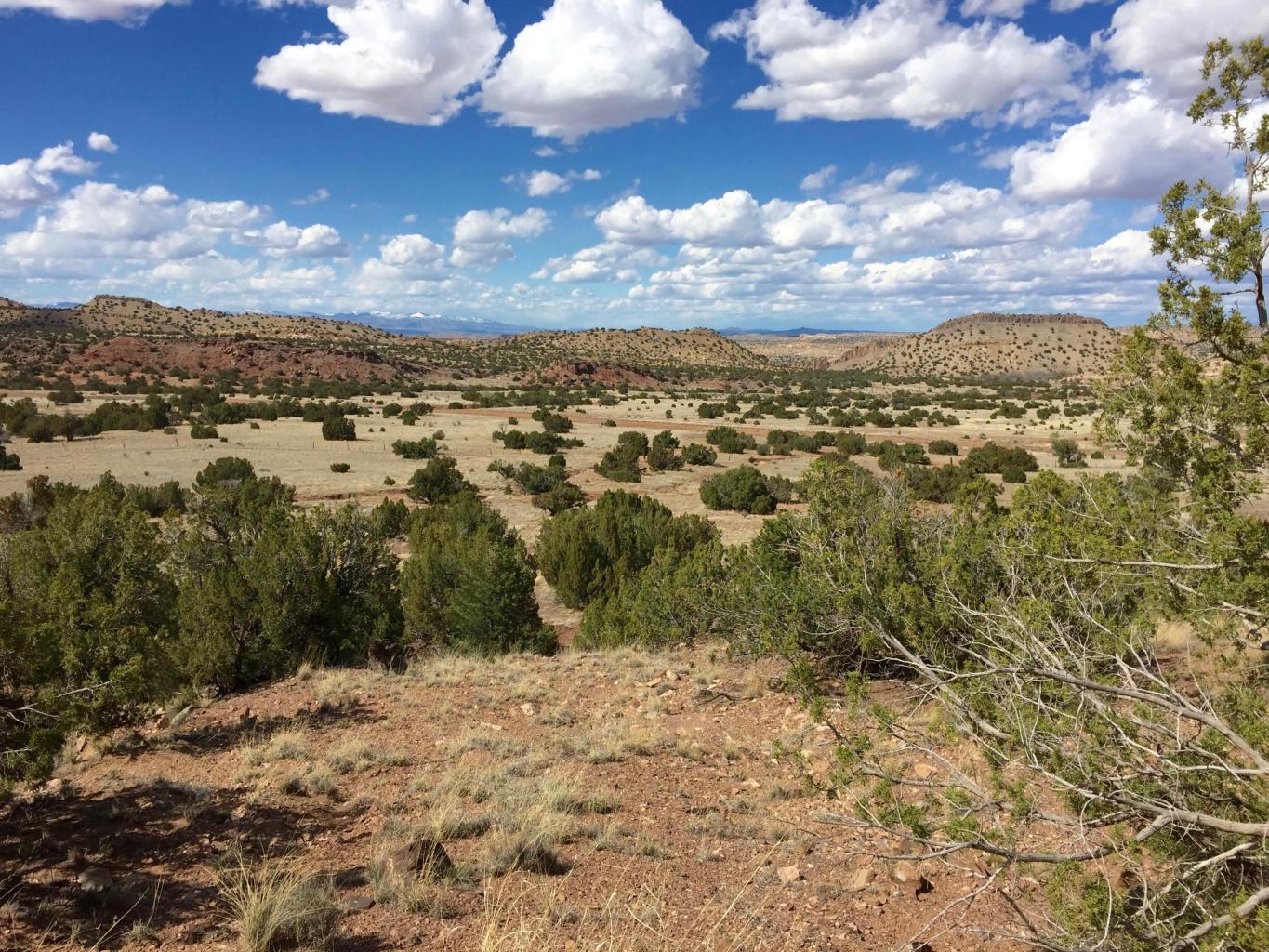 4819 Puertecito Road, Sandia Park, New Mexico image 1