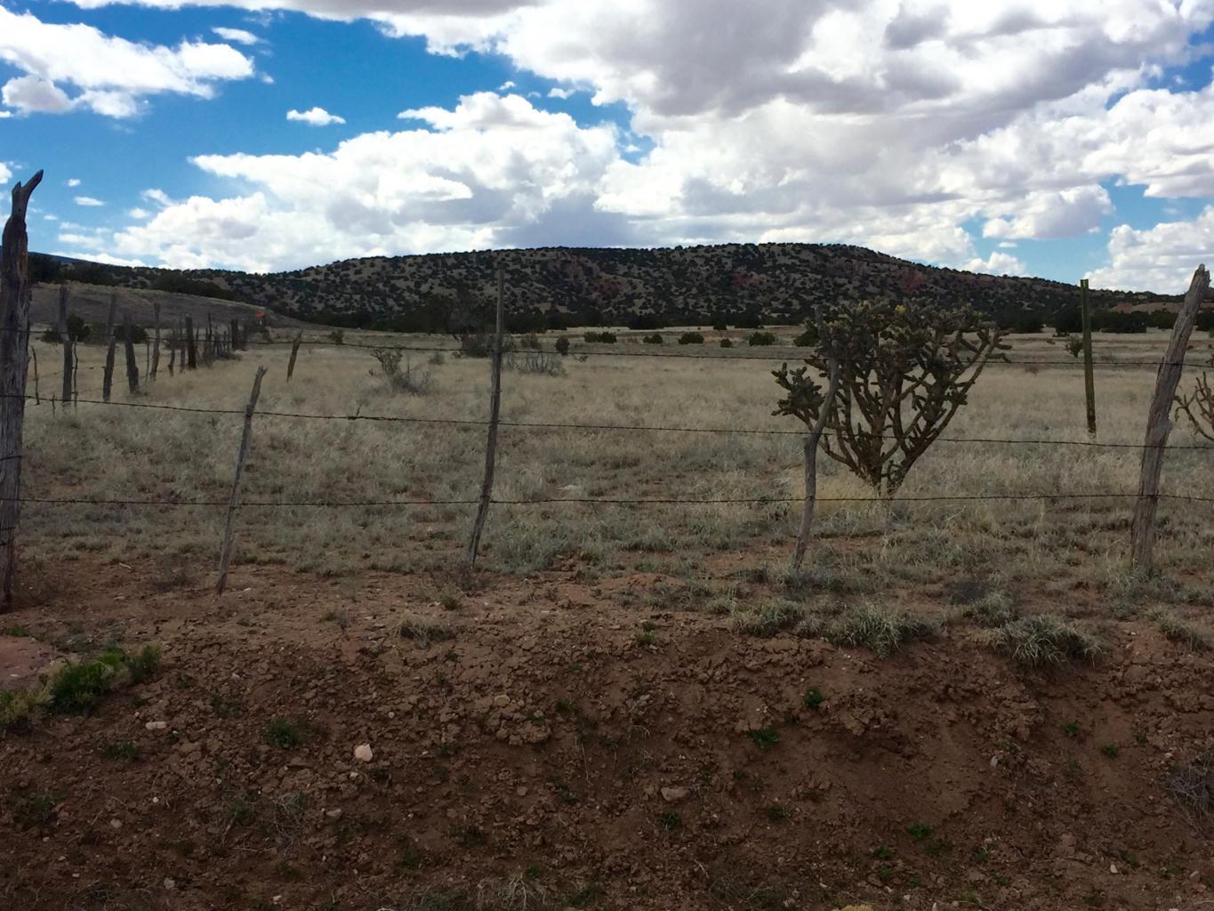 4819 Puertecito Road, Sandia Park, New Mexico image 9