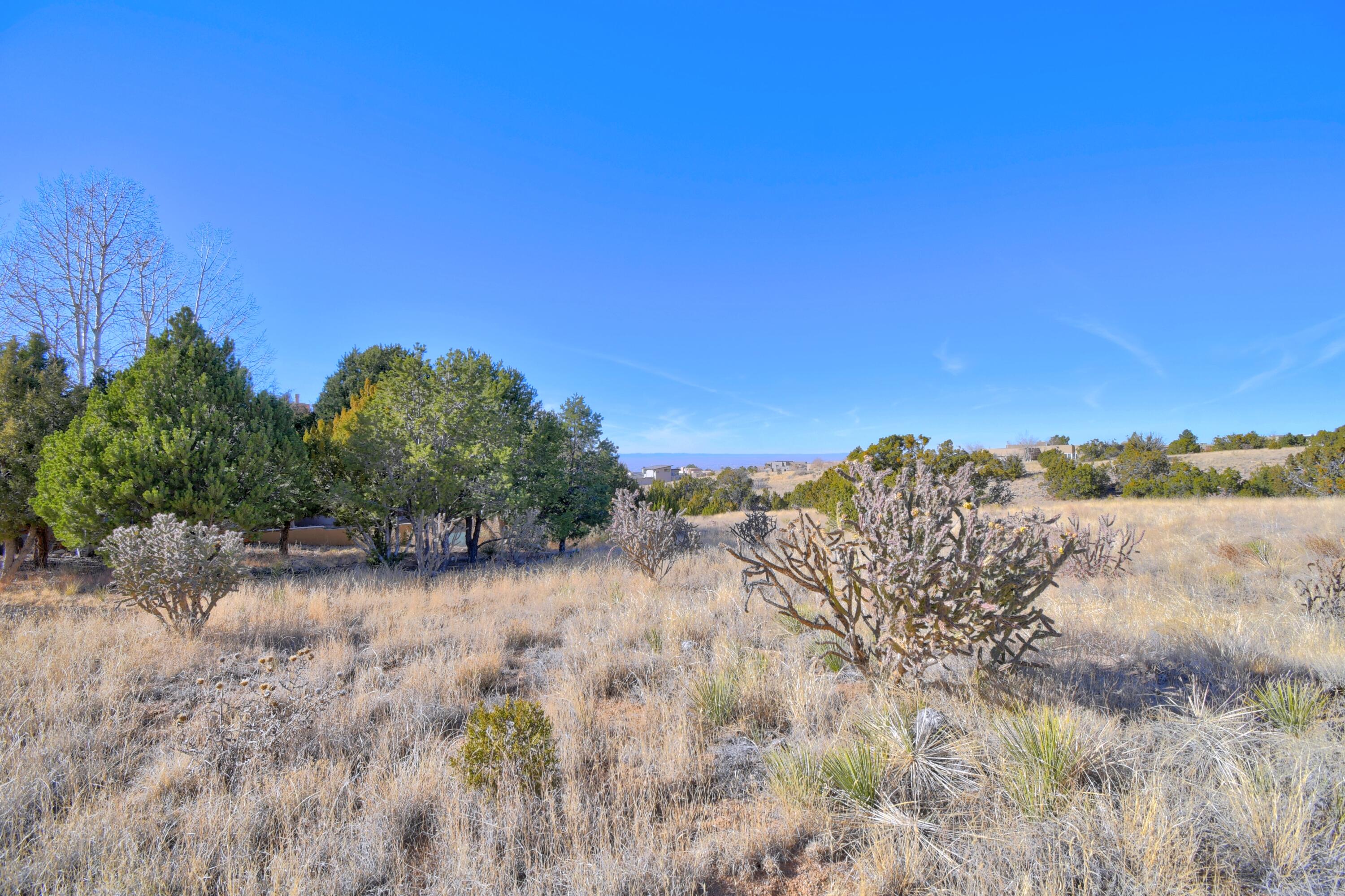 13705 Quaking Aspen Place NE