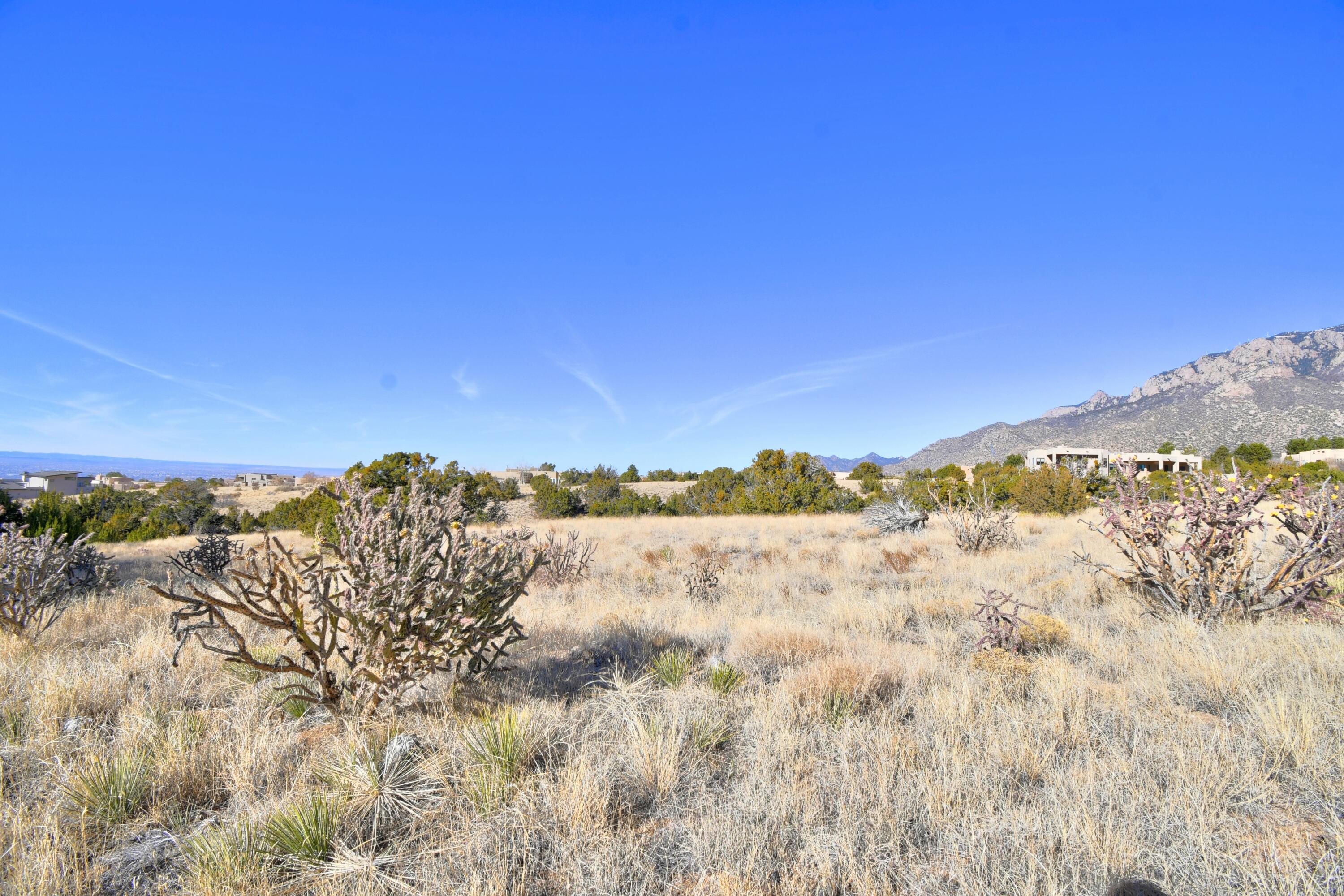 13705 Quaking Aspen Place NE