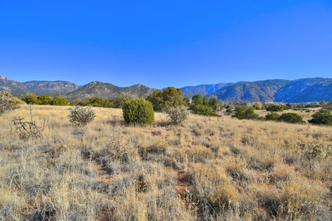 Vacant Land For Sale - 13705 Quaking Aspen Place<br/> Bernalillo County, Albuquerque, NM 87111