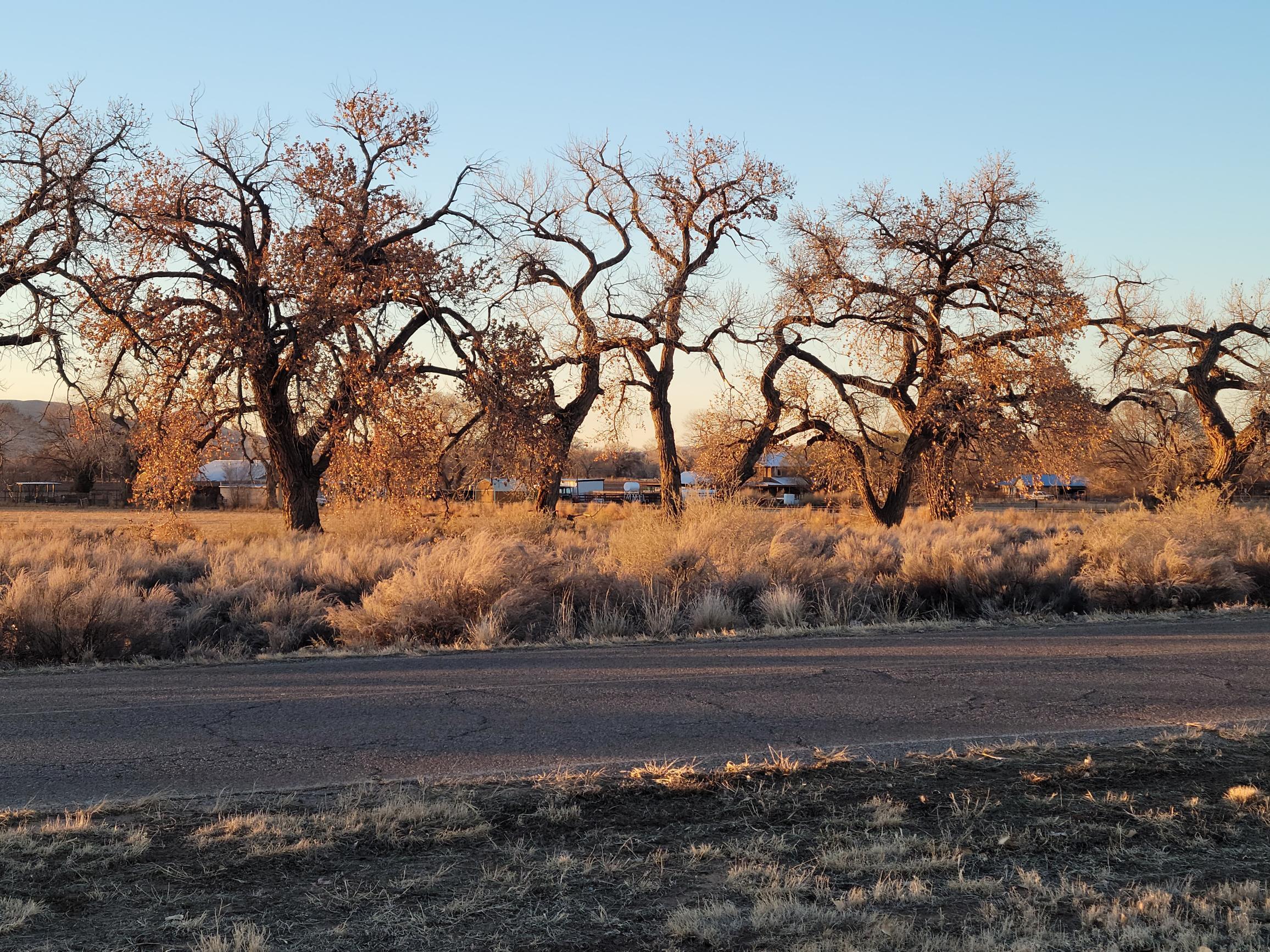 La Entrada Road, Los Lunas, New Mexico image 2