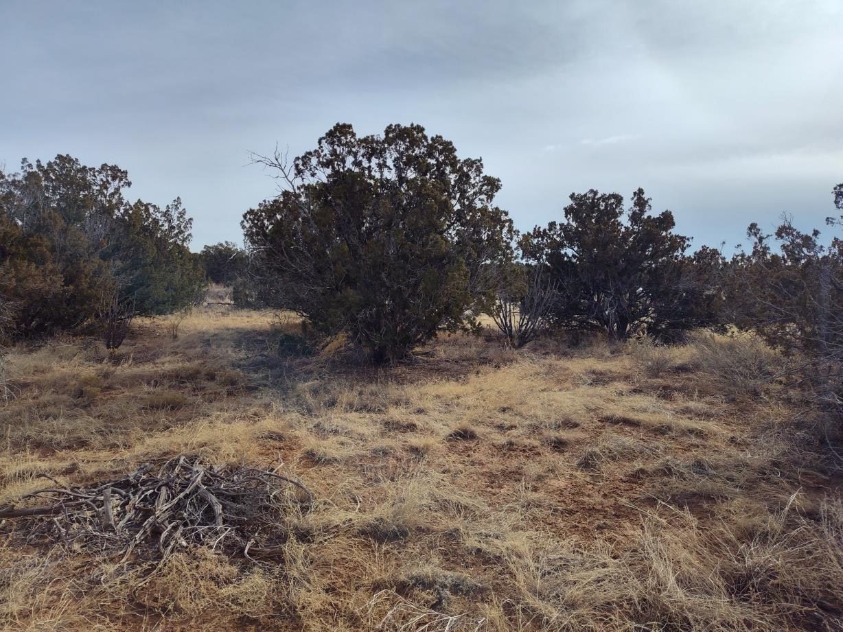 Seventh Street, Mountainair, New Mexico image 9