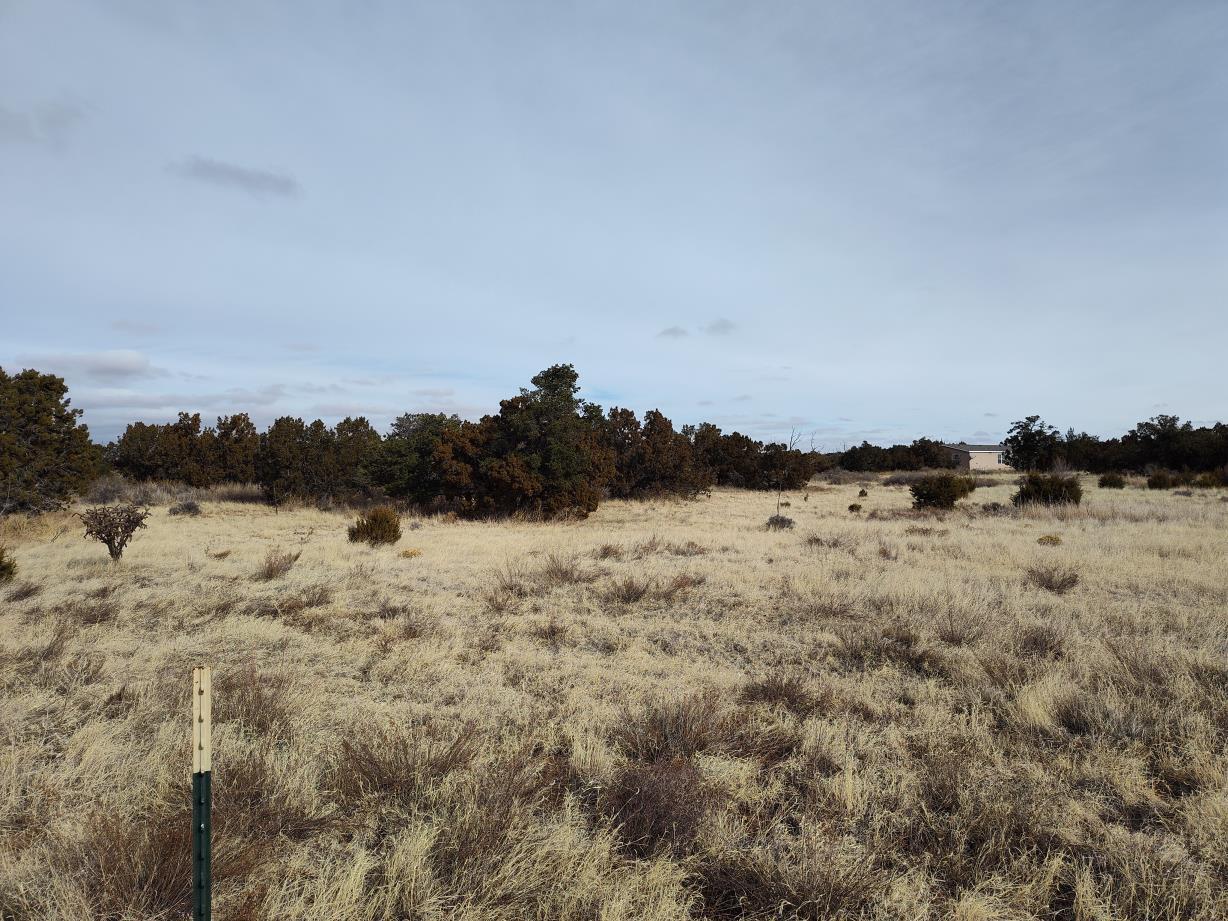 Seventh Street, Mountainair, New Mexico image 8