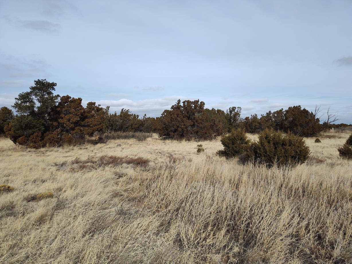 Seventh Street, Mountainair, New Mexico image 1