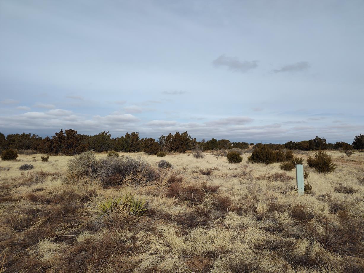 Seventh Street, Mountainair, New Mexico image 6