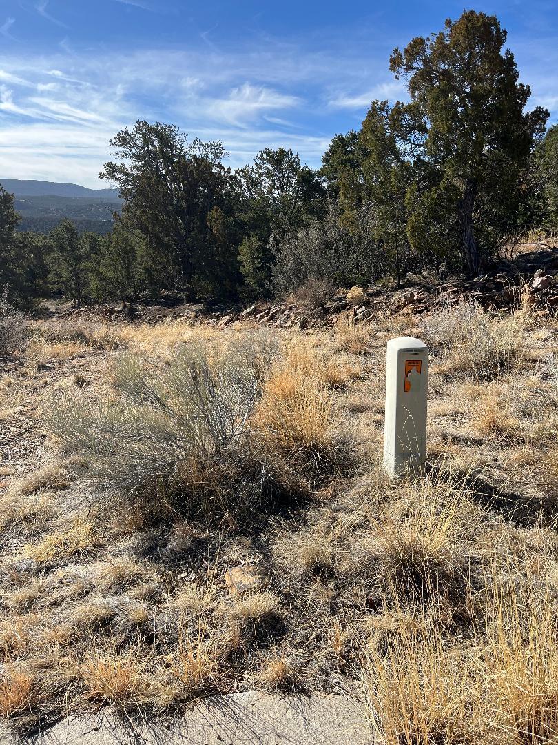 Tierra Vista Trail, Tijeras, New Mexico image 2