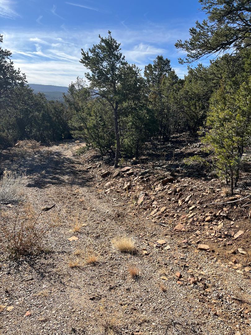 Tierra Vista Trail, Tijeras, New Mexico image 3