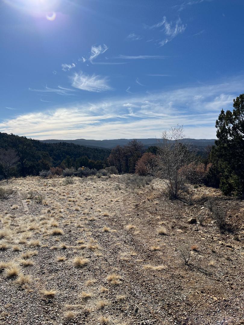 Tierra Vista Trail, Tijeras, New Mexico image 7