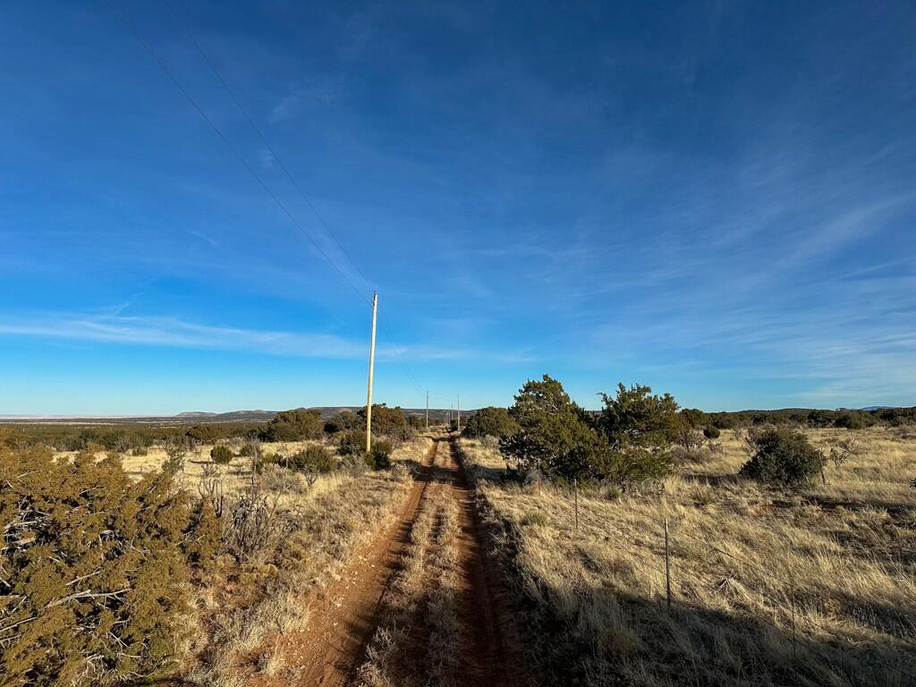 5568 State Highway 55, Mountainair, New Mexico image 27