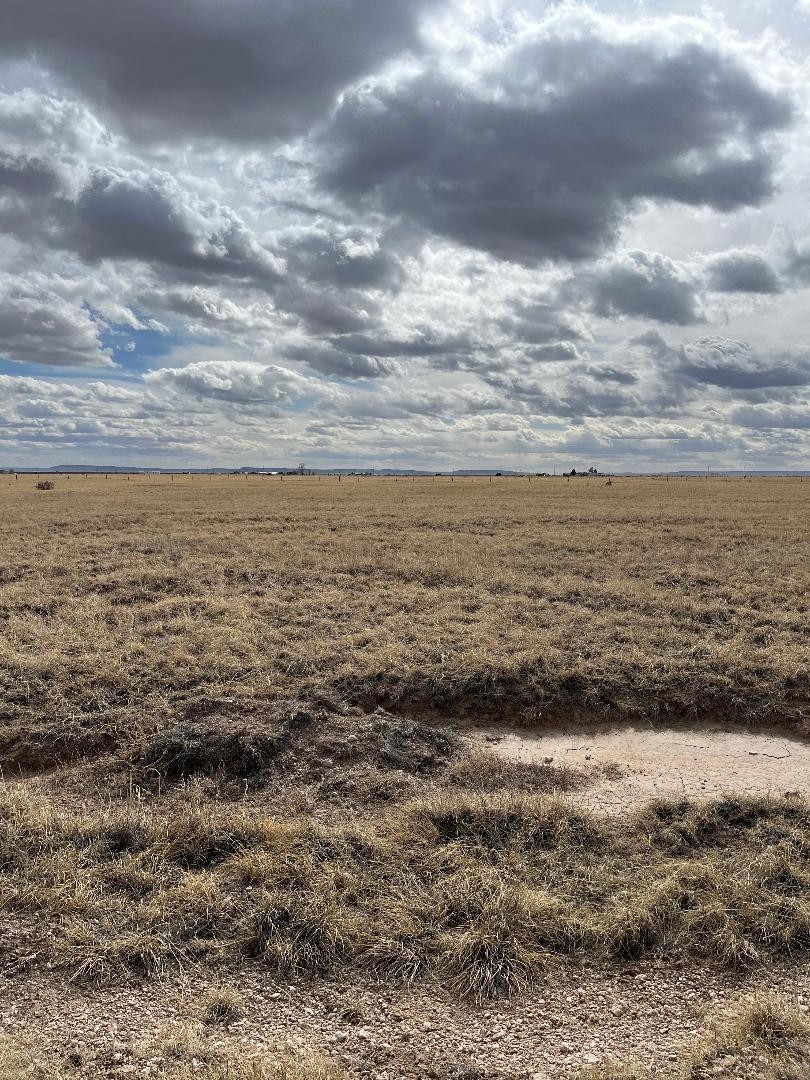 Cricket Lane Lot 21, Estancia, New Mexico image 1