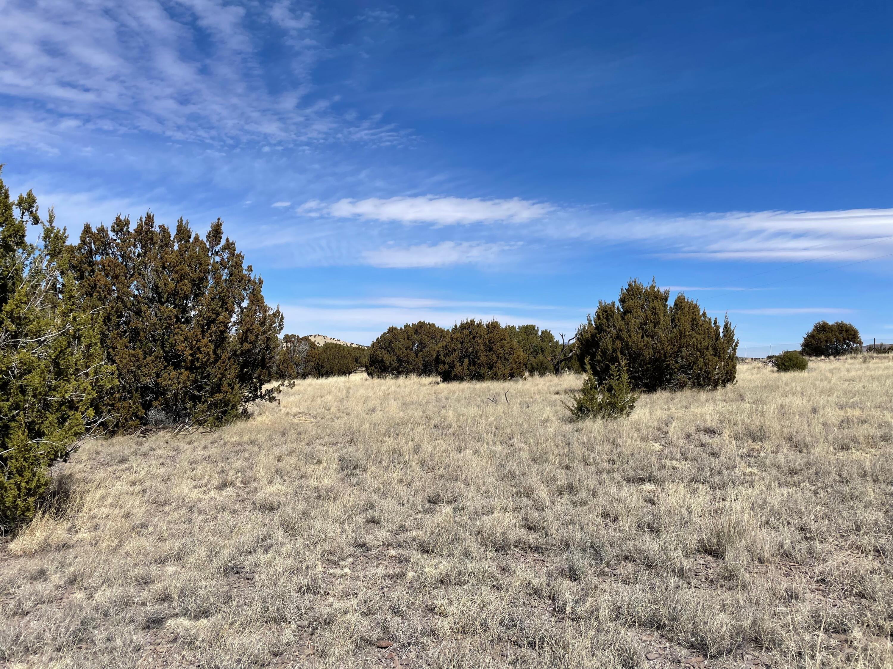 38 & 39 Brahman Road, Magdalena, New Mexico image 29