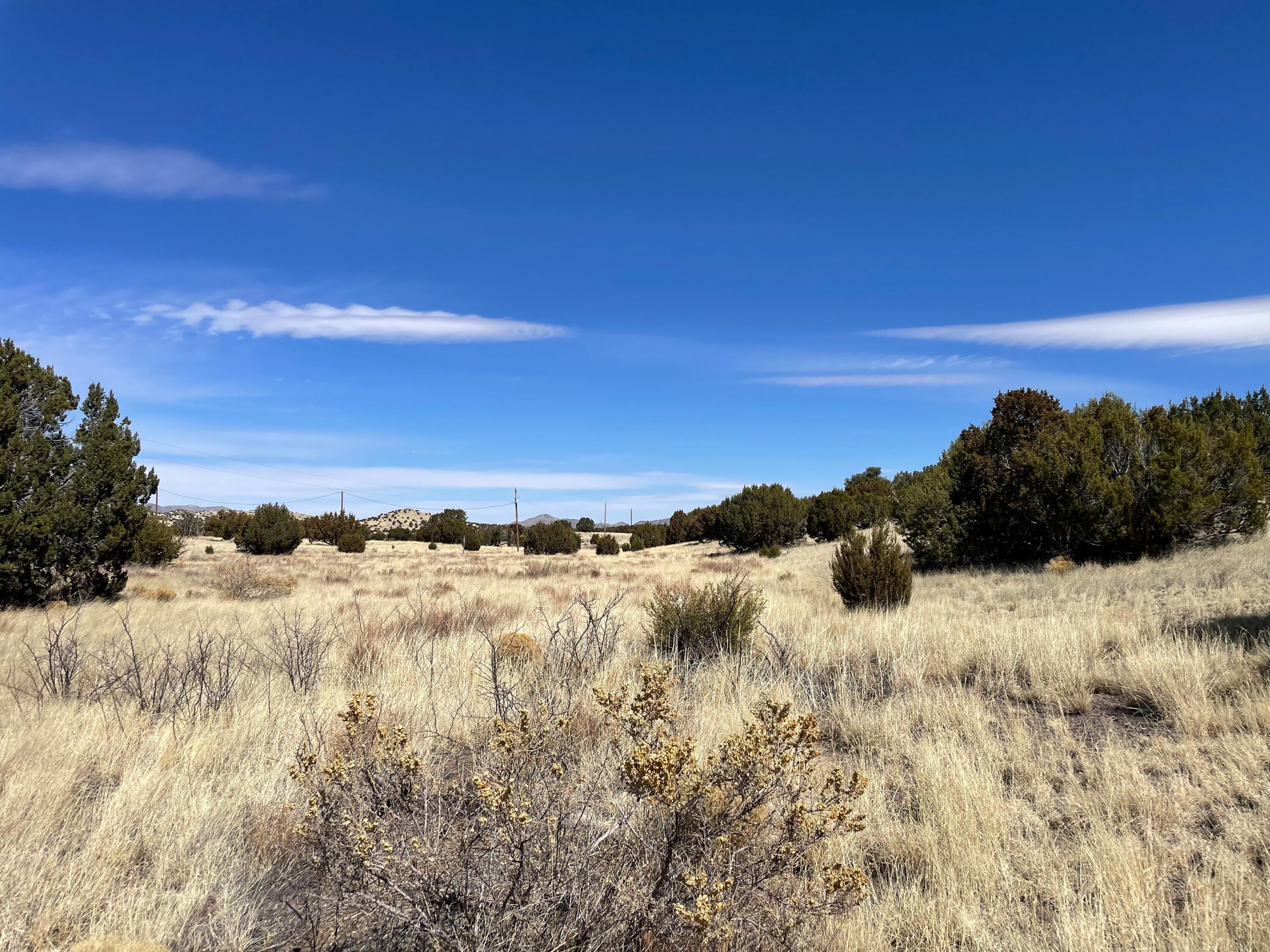 38 & 39 Brahman Road, Magdalena, New Mexico image 20