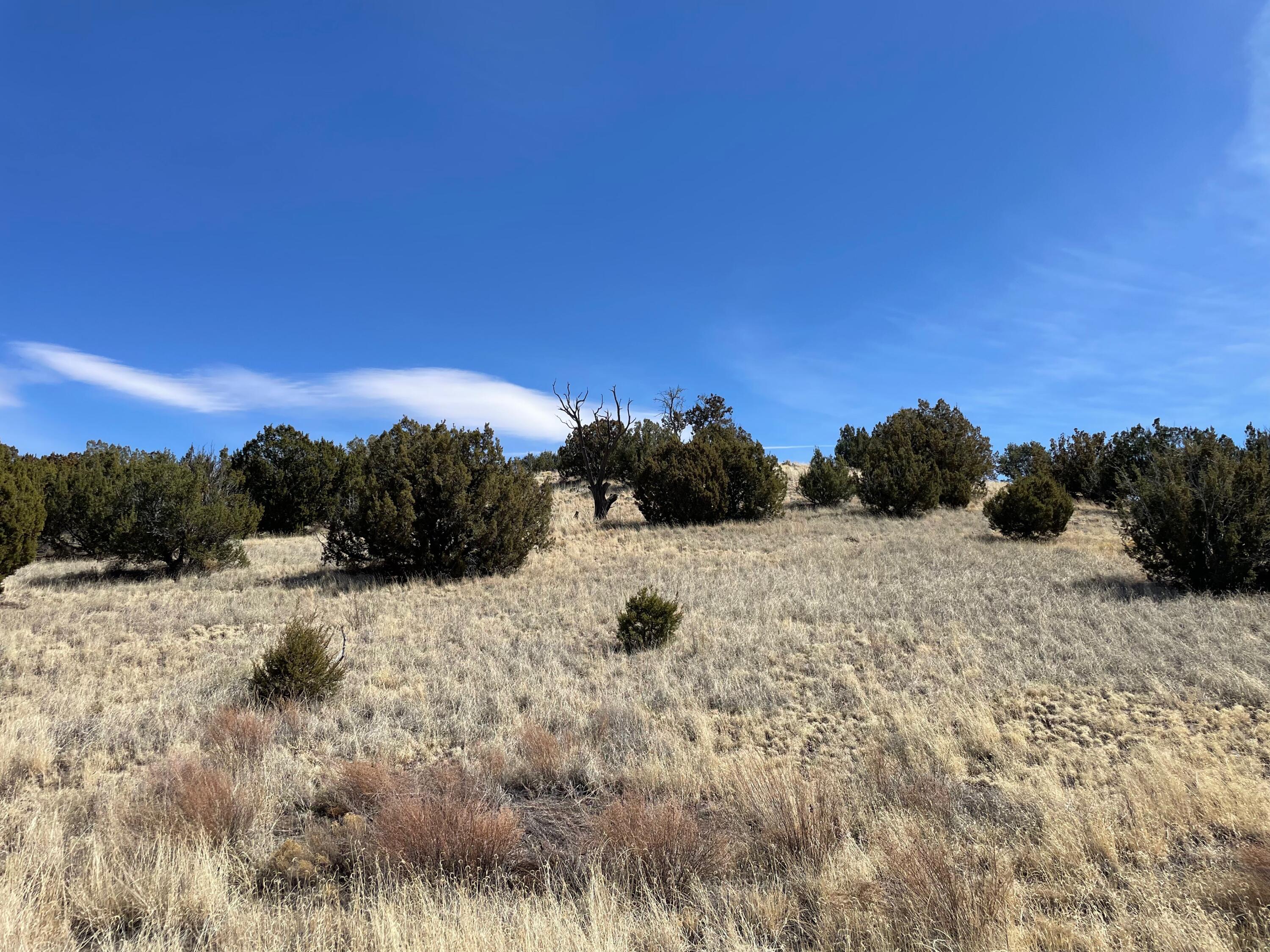 38 & 39 Brahman Road, Magdalena, New Mexico image 22