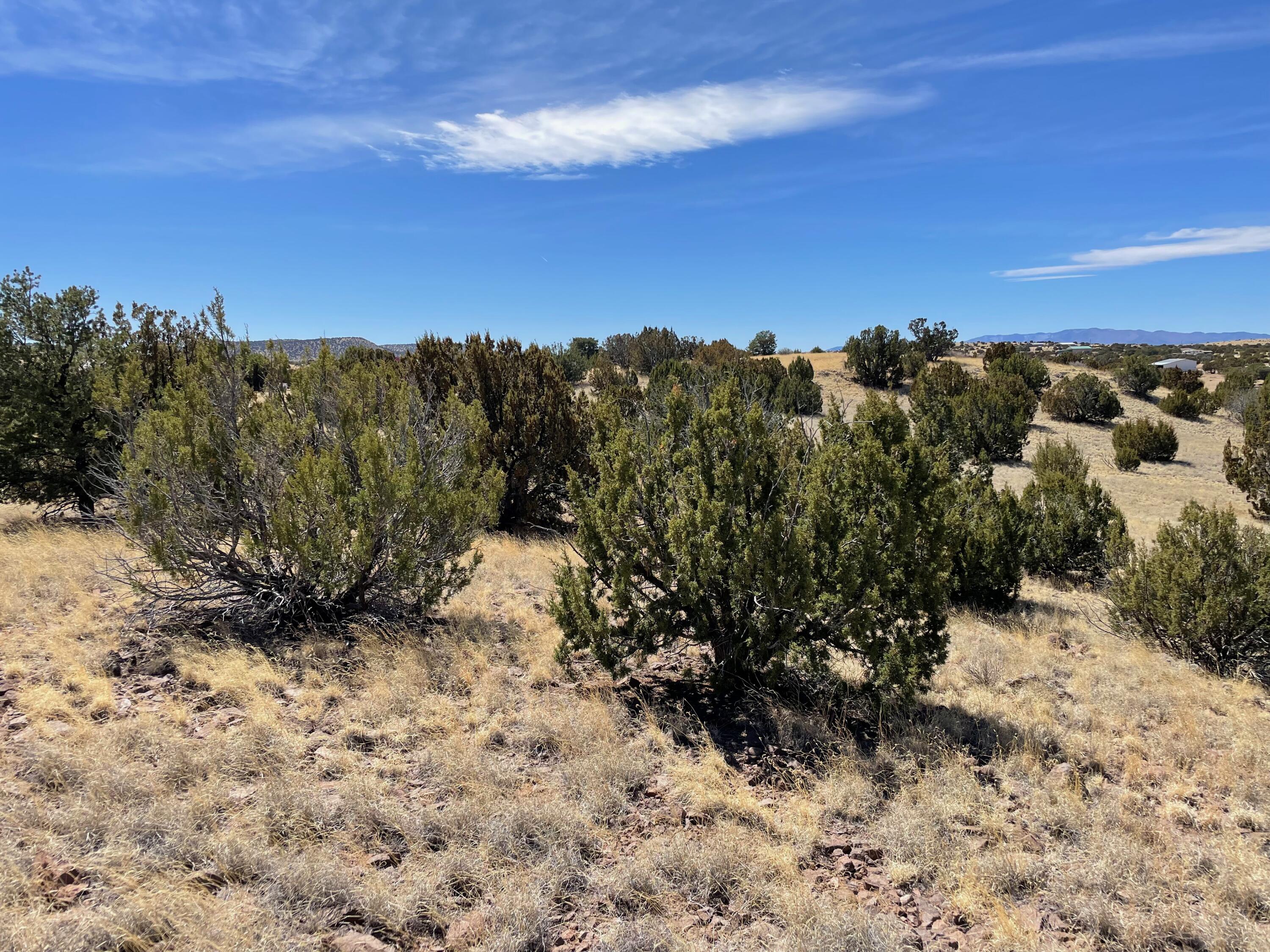 38 & 39 Brahman Road, Magdalena, New Mexico image 12