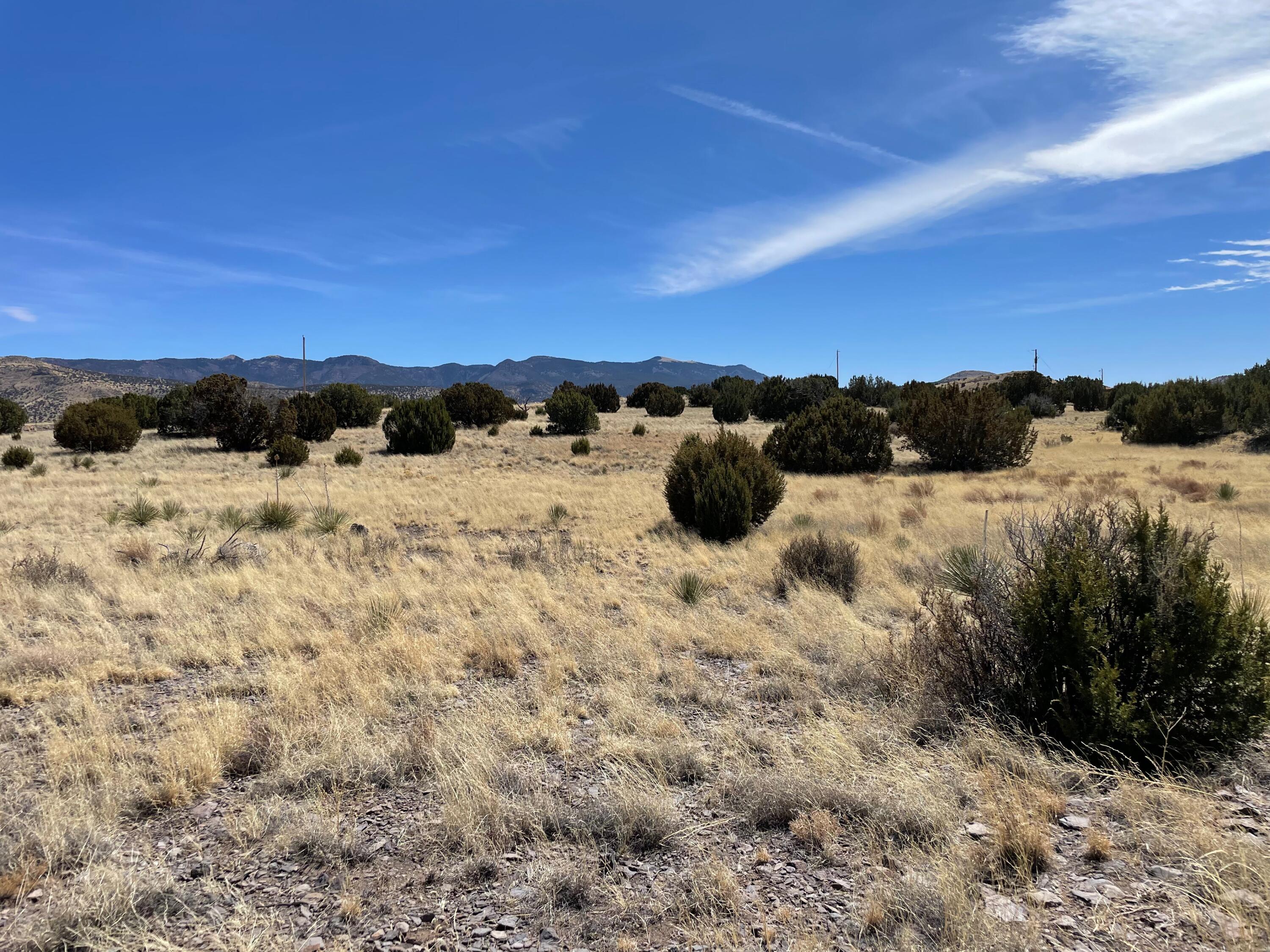 38 & 39 Brahman Road, Magdalena, New Mexico image 34