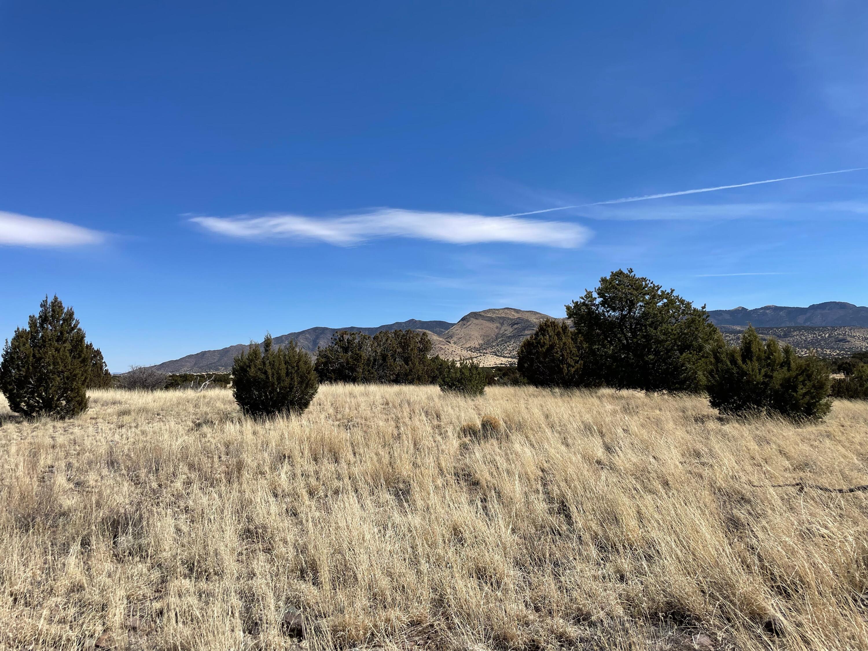 38 & 39 Brahman Road, Magdalena, New Mexico image 3