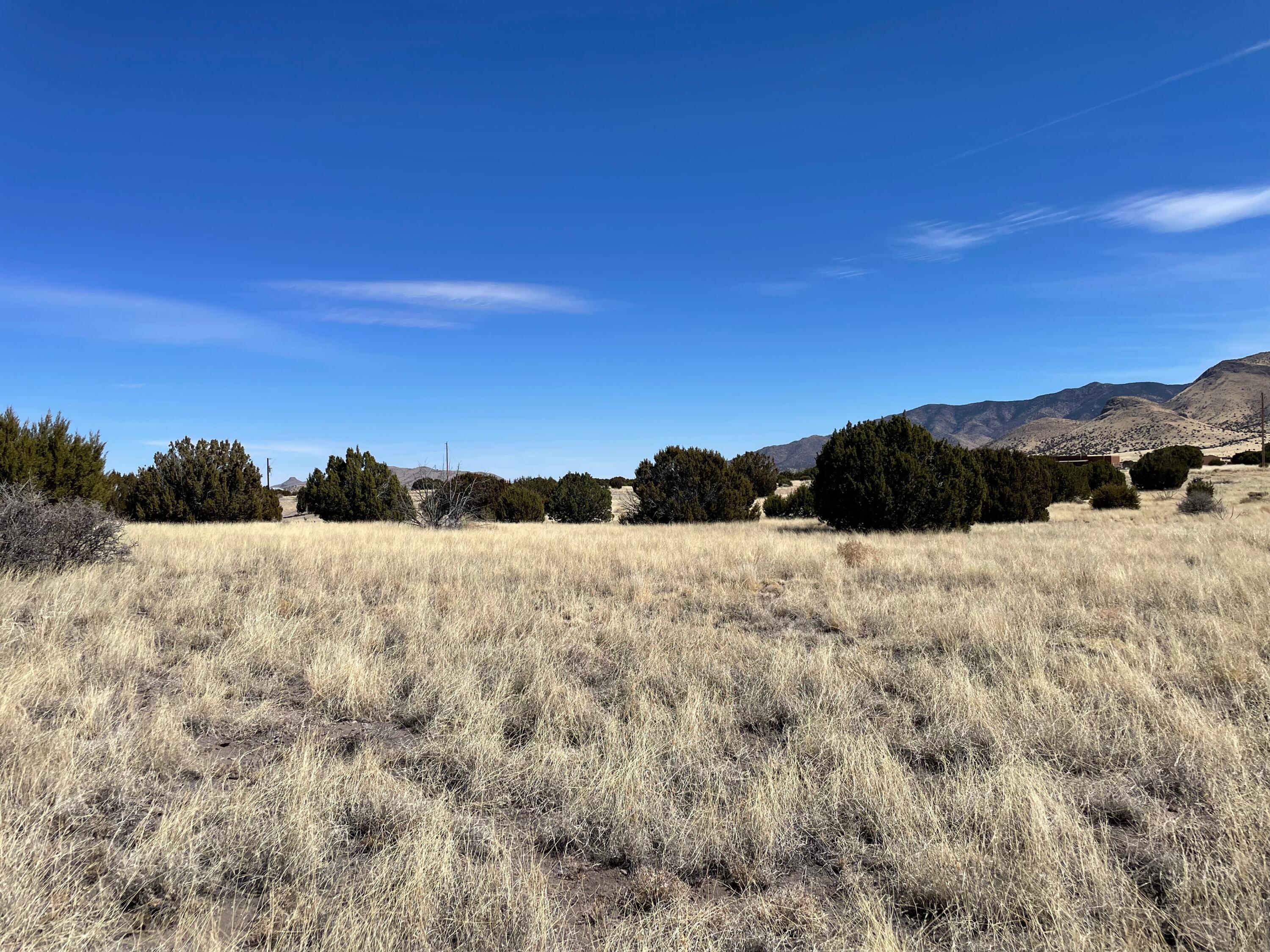 38 & 39 Brahman Road, Magdalena, New Mexico image 13