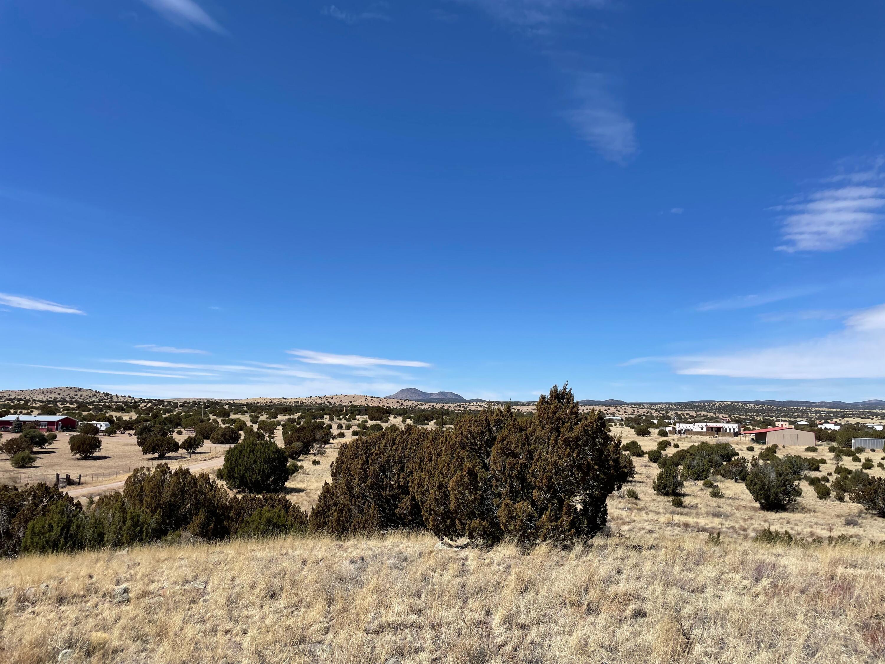 38 & 39 Brahman Road, Magdalena, New Mexico image 19