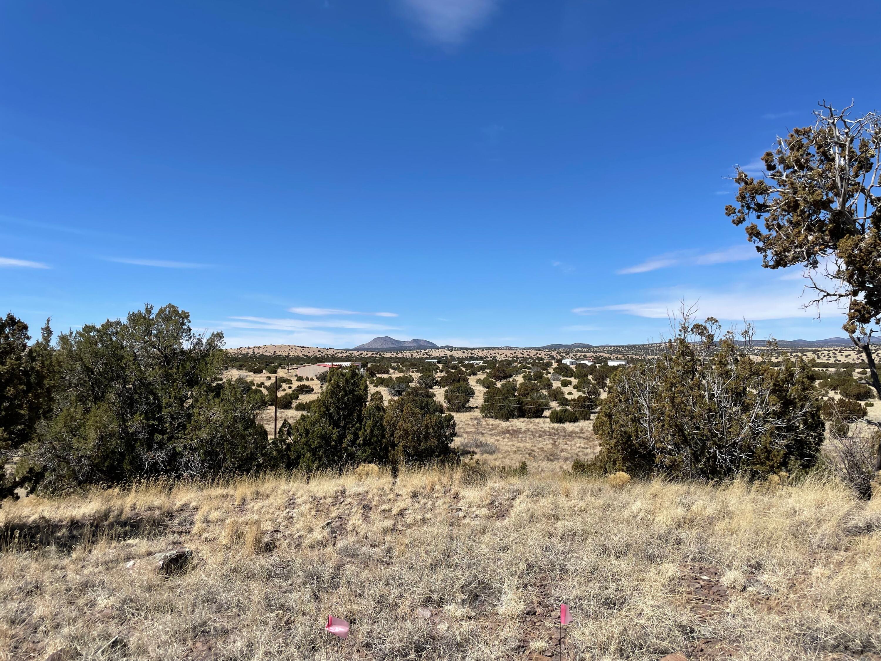 38 & 39 Brahman Road, Magdalena, New Mexico image 11