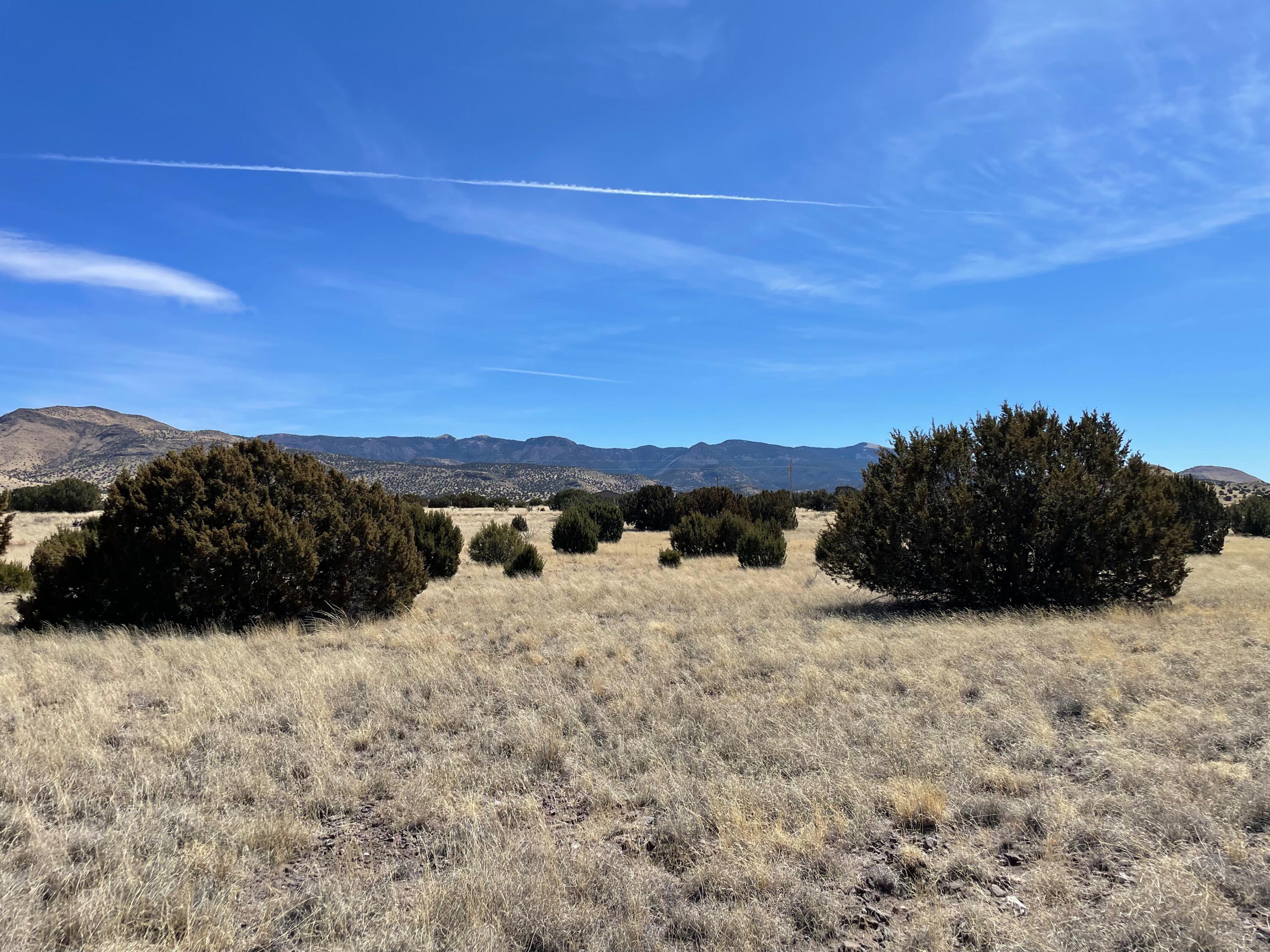38 & 39 Brahman Road, Magdalena, New Mexico image 15