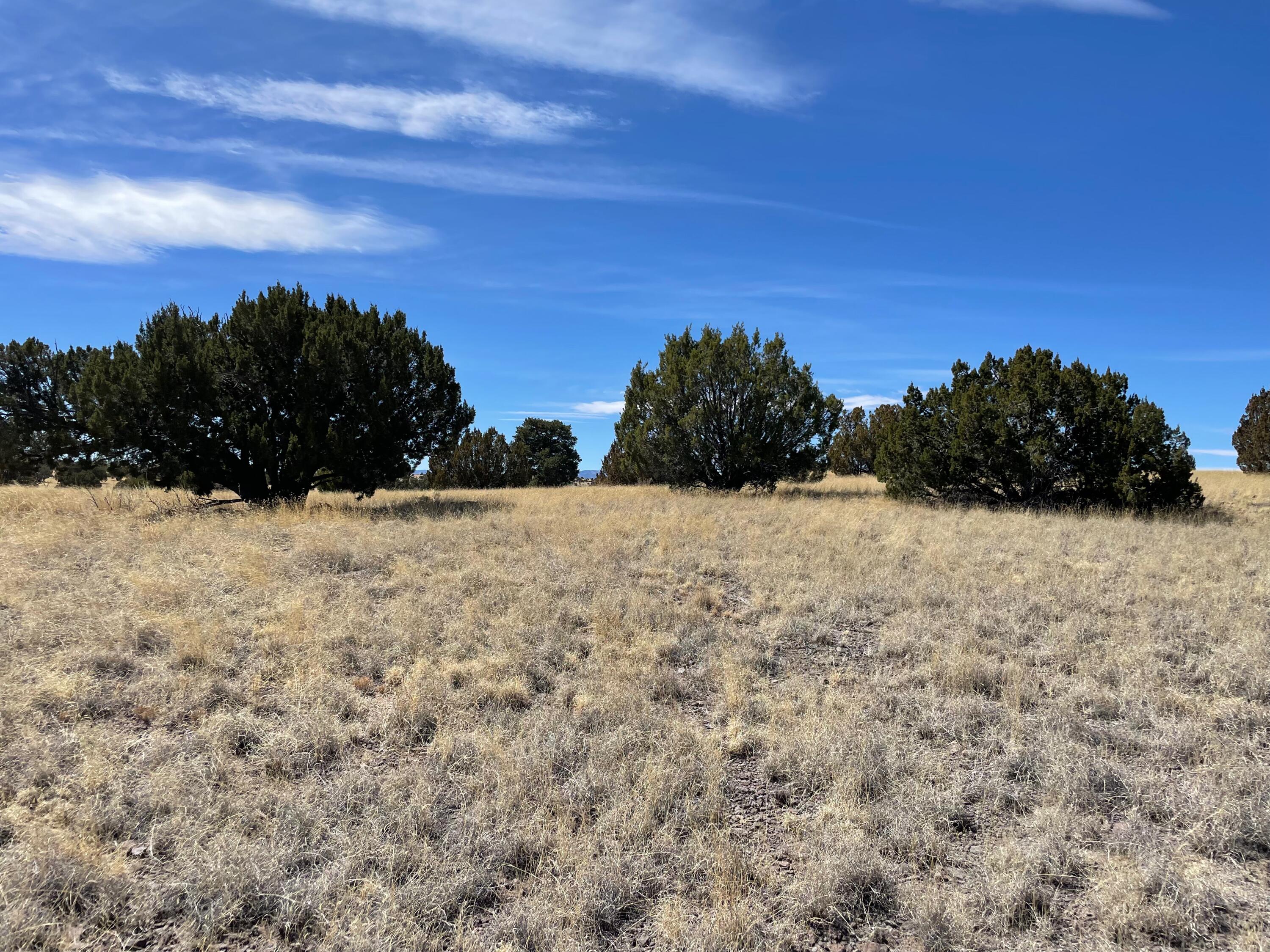38 & 39 Brahman Road, Magdalena, New Mexico image 16