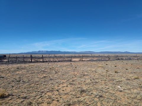 Vacant Land For Sale - TR 1234 Old Willard Road<br/> Mountainair, NM 87036