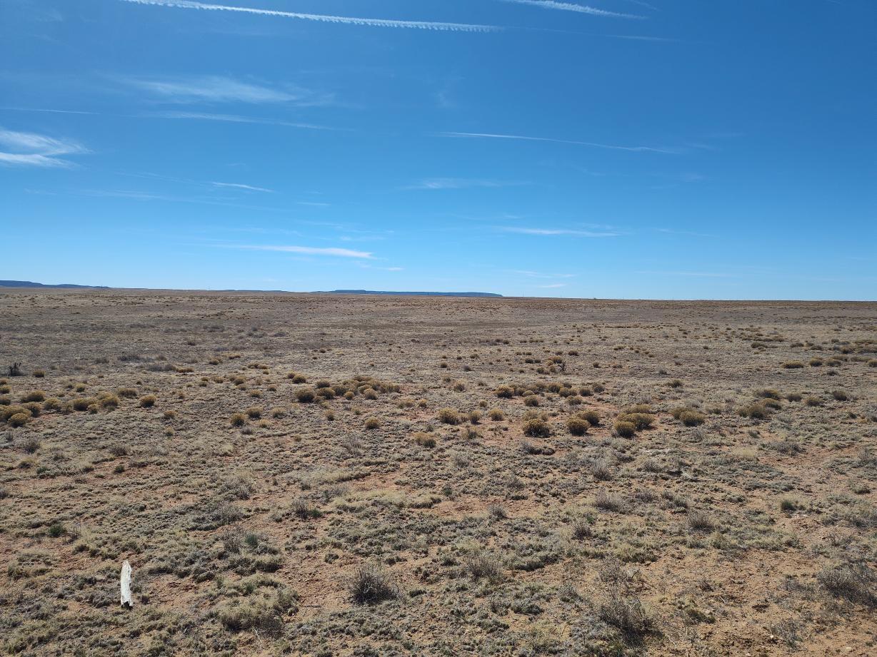 TR 1,2,3,4 Old Willard Road