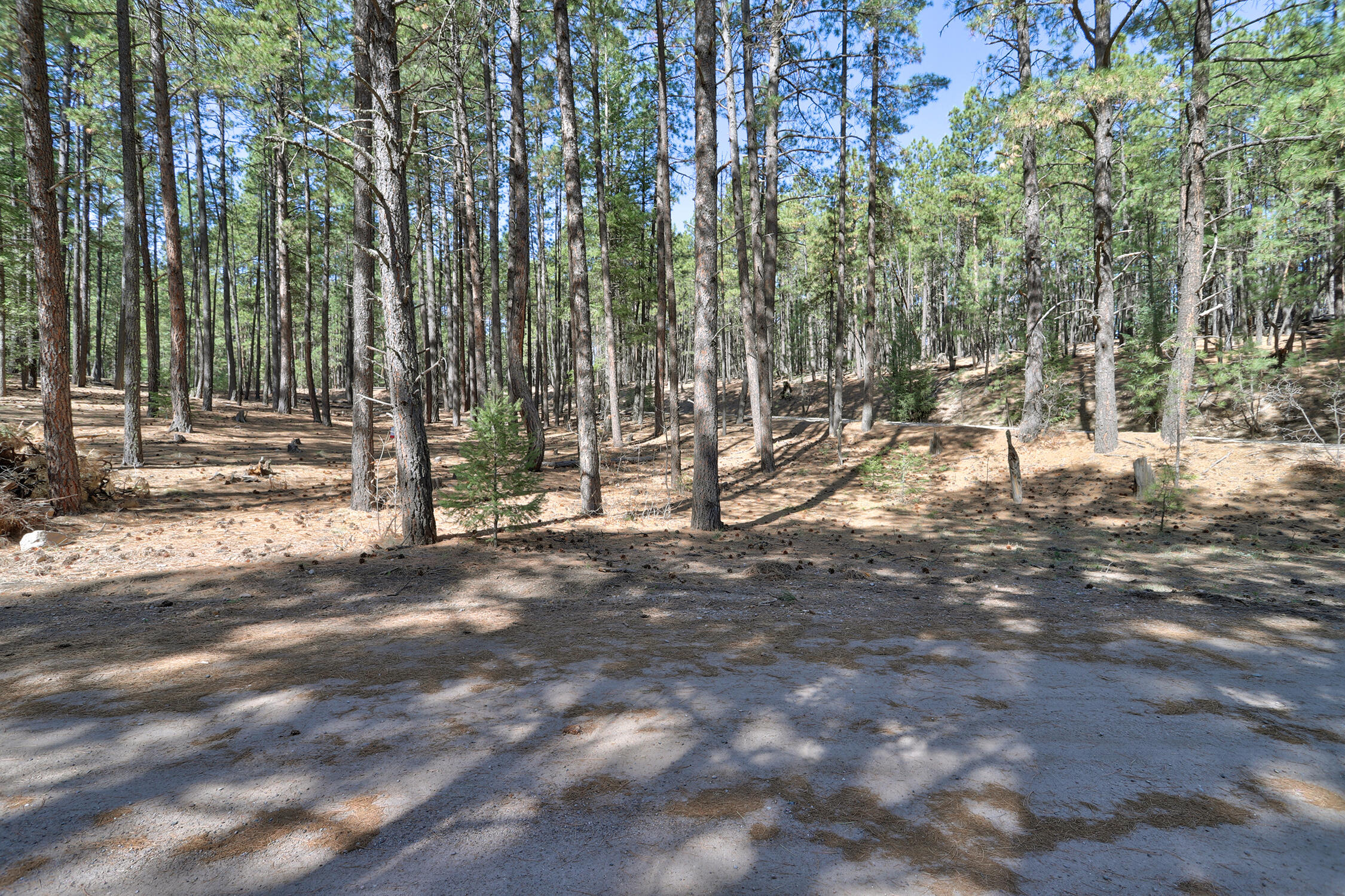 Lands Of Hotchkiss Lot B Nf 10, Jemez Springs, New Mexico image 5