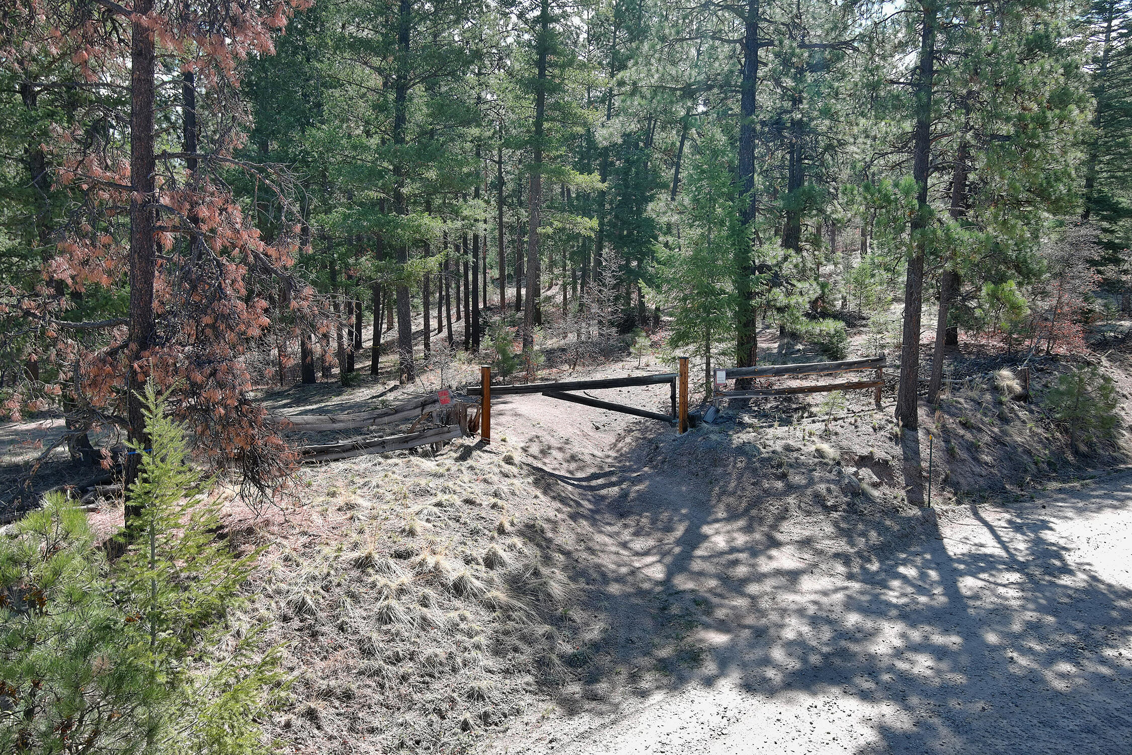 Lands Of Hotchkiss Lot B Nf 10, Jemez Springs, New Mexico image 3