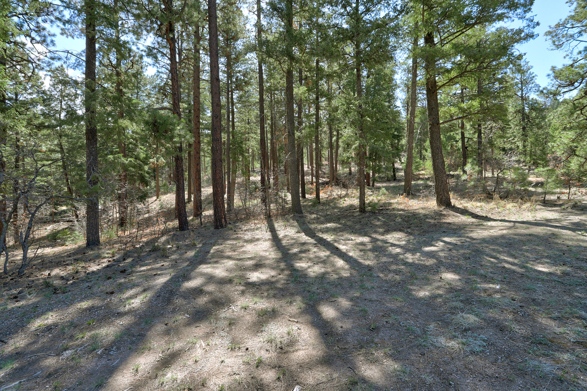 Lands Of Hotchkiss Lot B Nf 10, Jemez Springs, New Mexico image 12