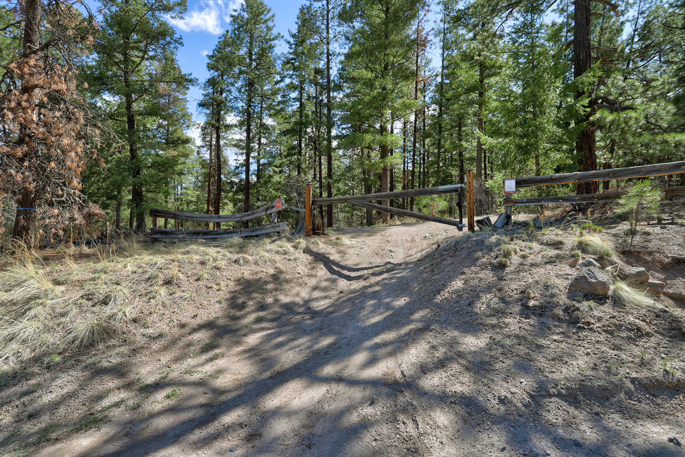 Lands Of Hotchkiss Lot B Nf 10, Jemez Springs, New Mexico image 8