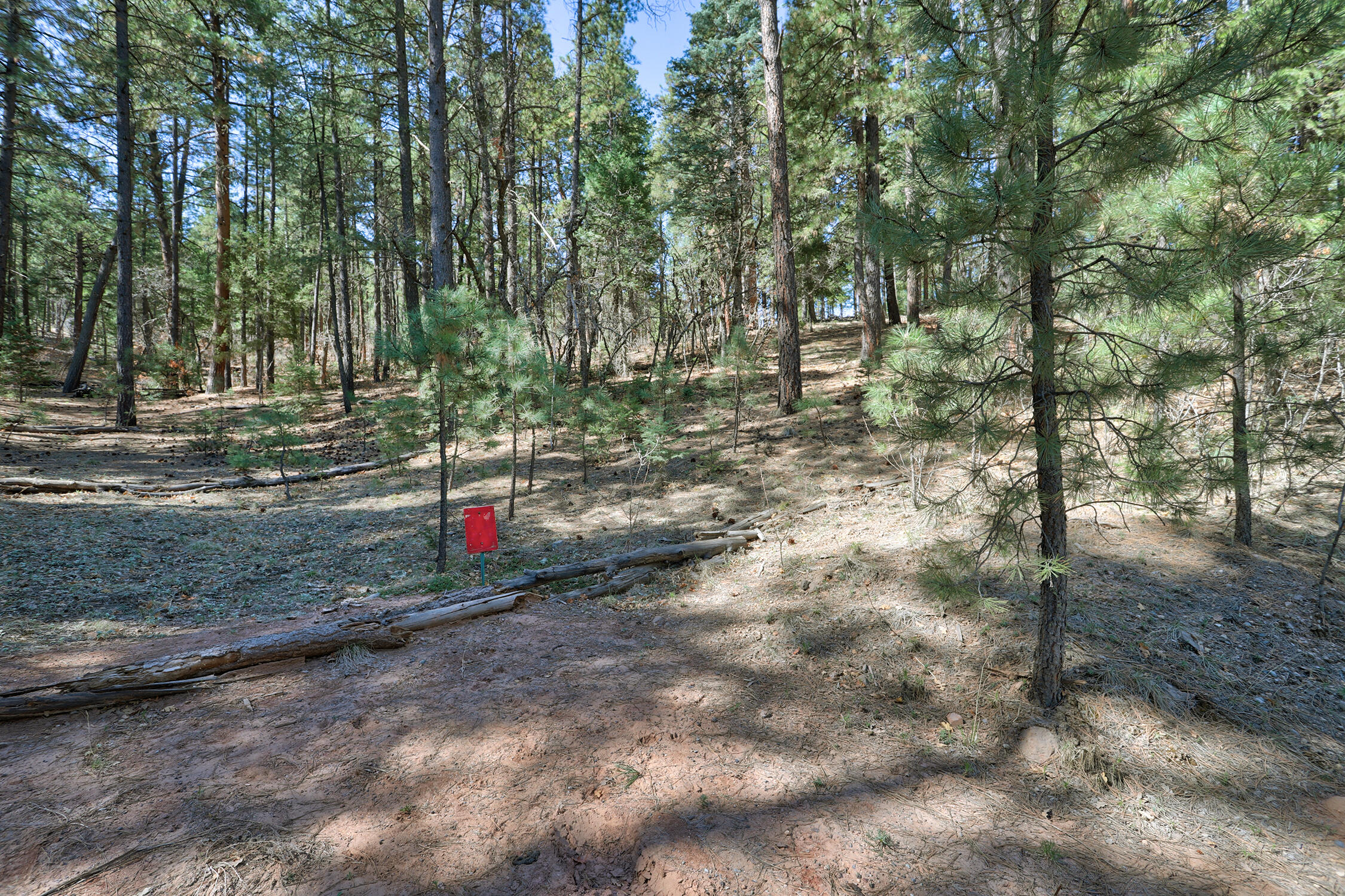 Lands Of Hotchkiss Lot B Nf 10, Jemez Springs, New Mexico image 7