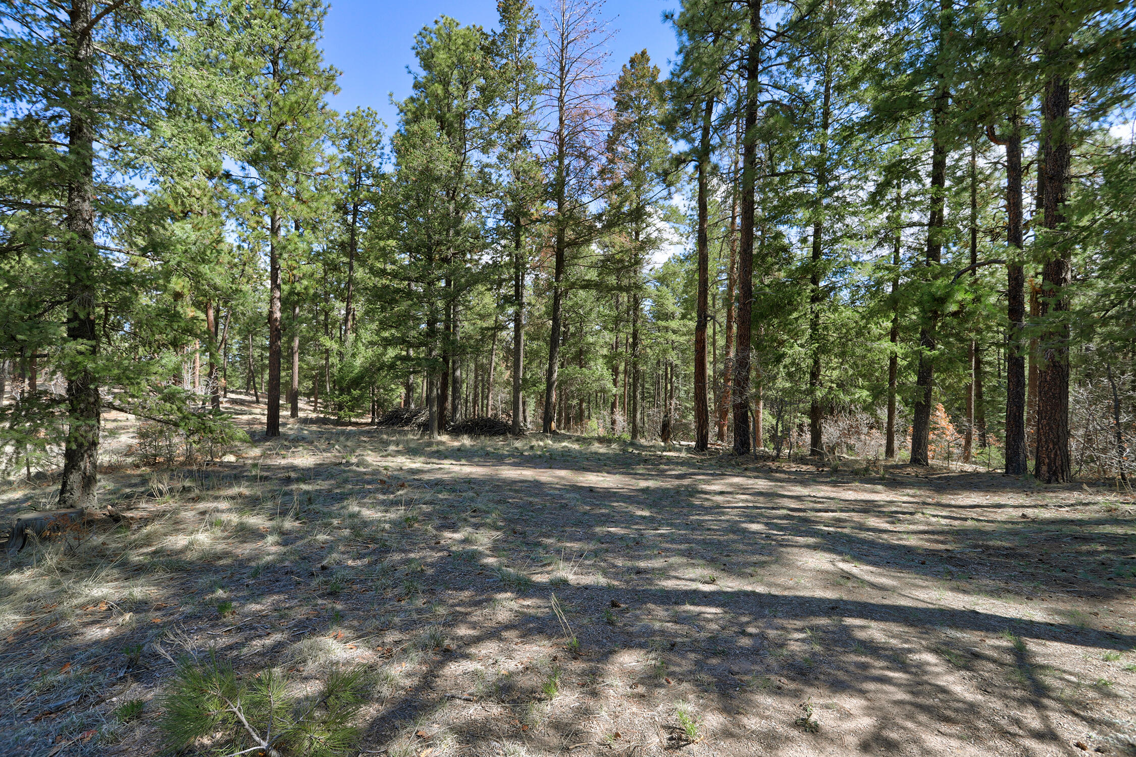 Lands Of Hotchkiss Lot B Nf 10, Jemez Springs, New Mexico image 9