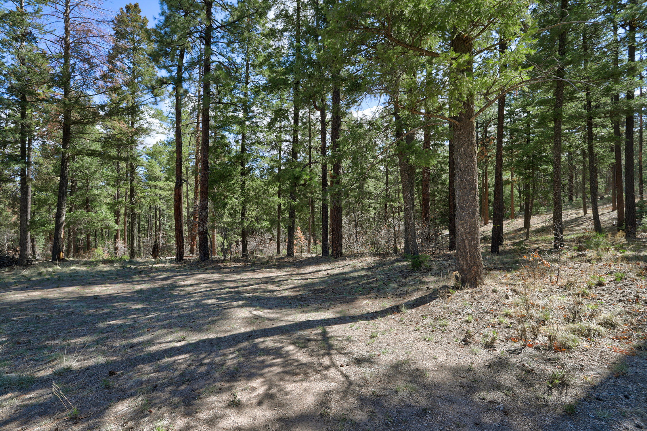 Lands Of Hotchkiss Lot B Nf 10, Jemez Springs, New Mexico image 10