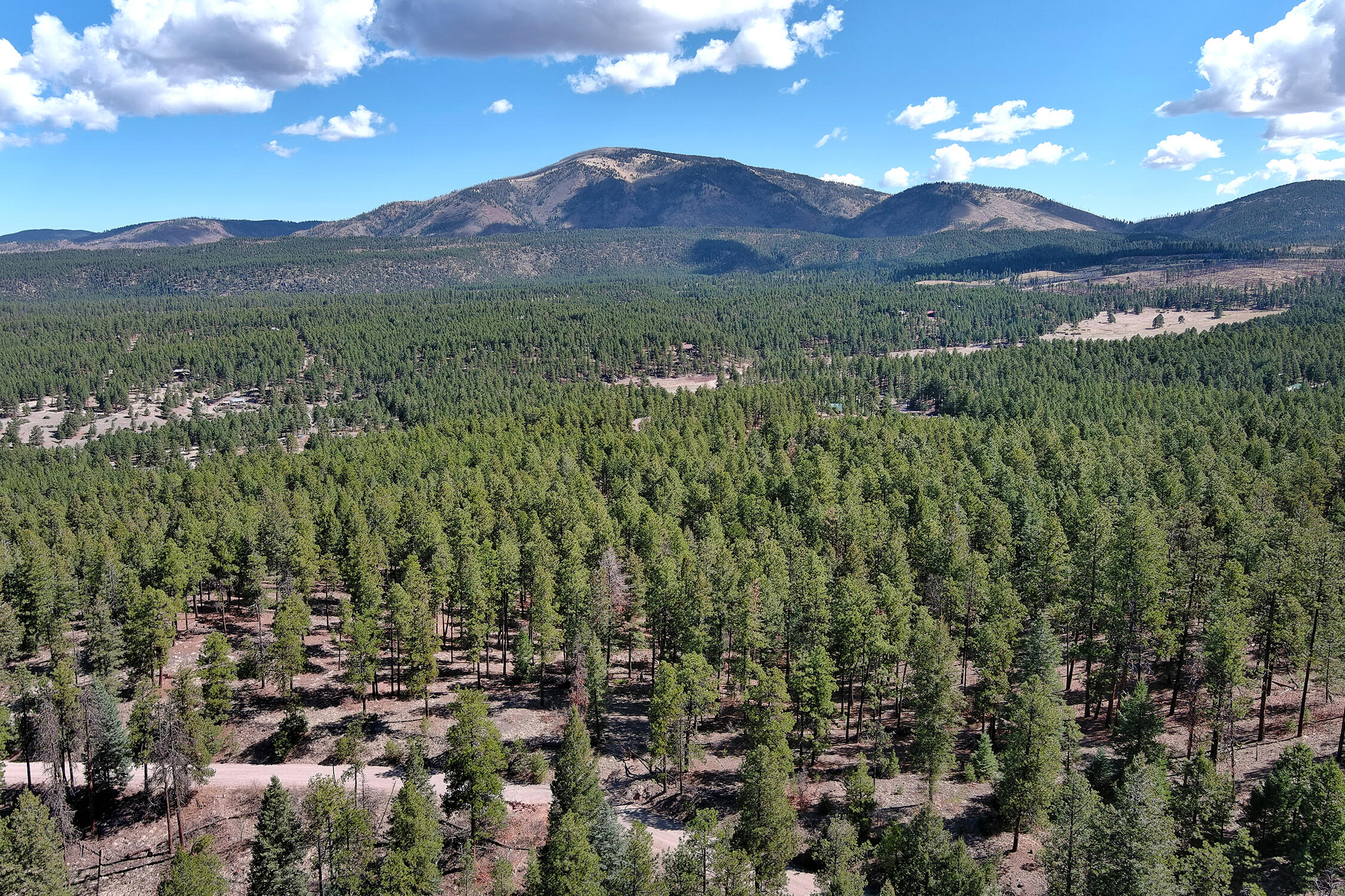 Lands Of Hotchkiss Lot B Nf 10, Jemez Springs, New Mexico image 14