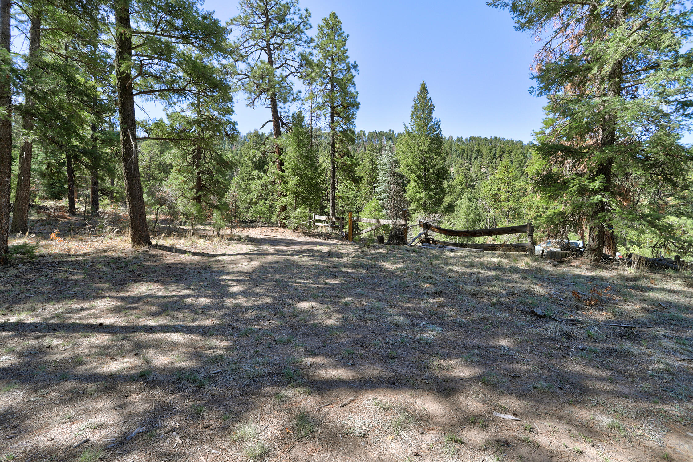 Lands Of Hotchkiss Lot B Nf 10, Jemez Springs, New Mexico image 13